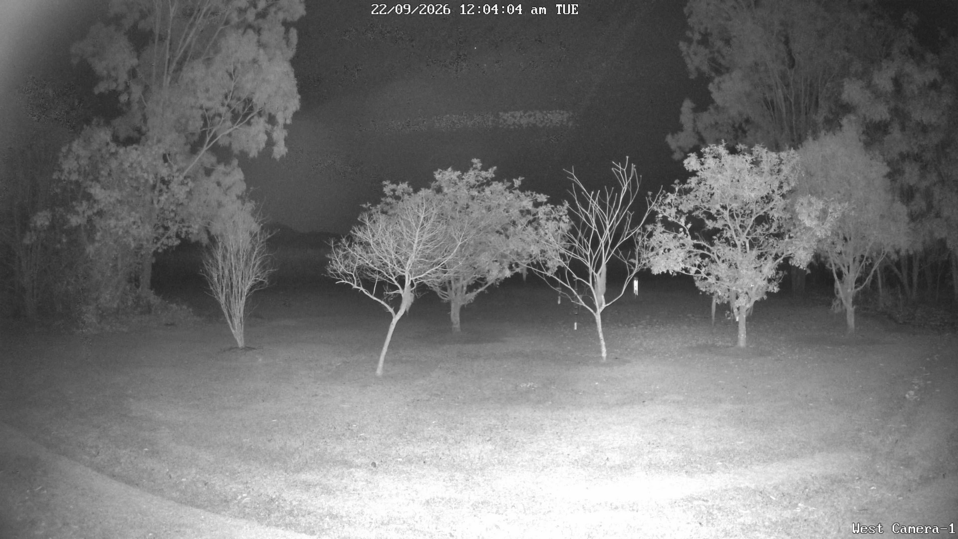 time-lapse frame, KelseyCreek West View webcam
