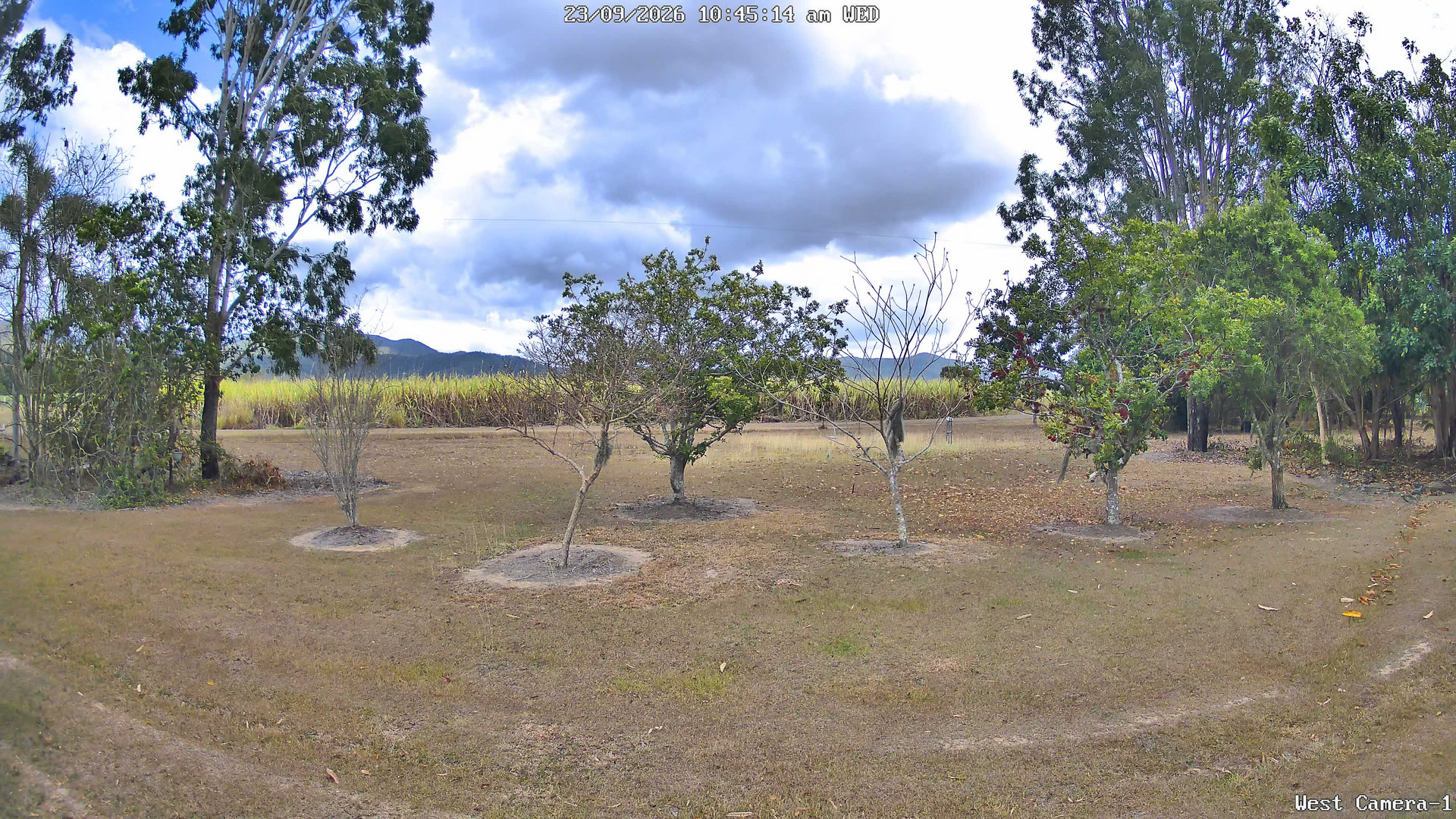 view from KelseyCreek West View on 2026-09-23