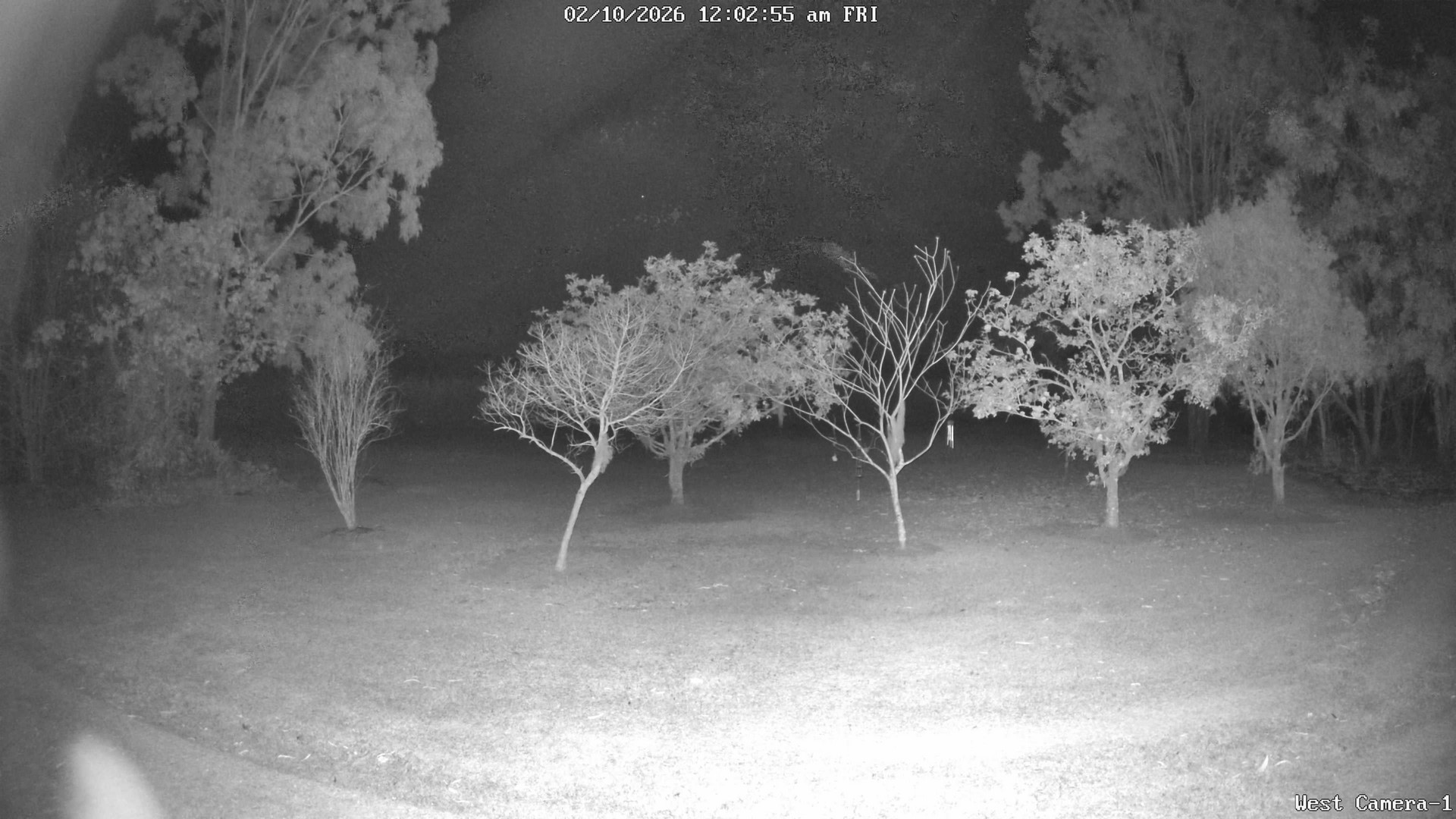 time-lapse frame, KelseyCreek West View webcam