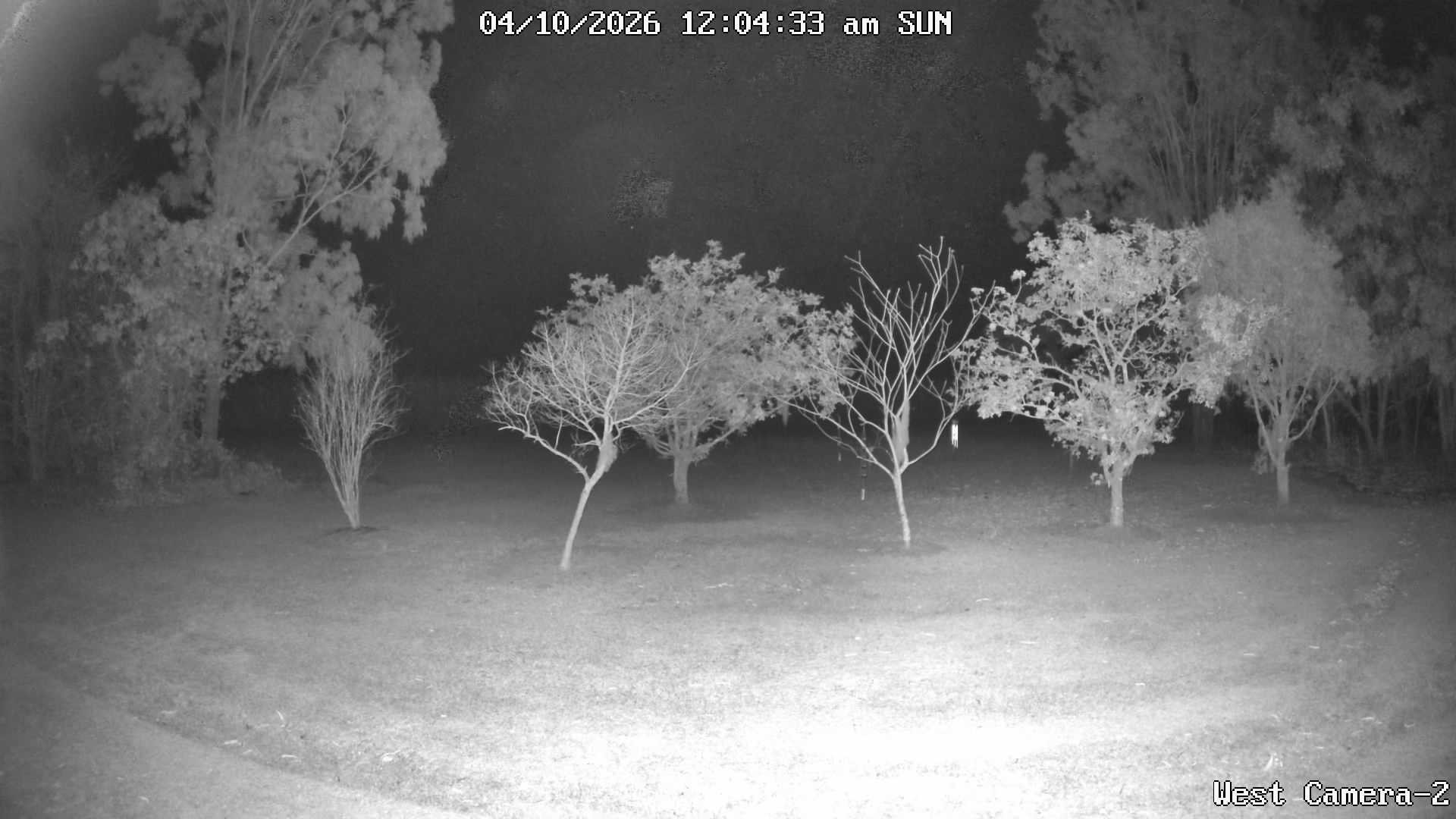 time-lapse frame, KelseyCreek West View webcam
