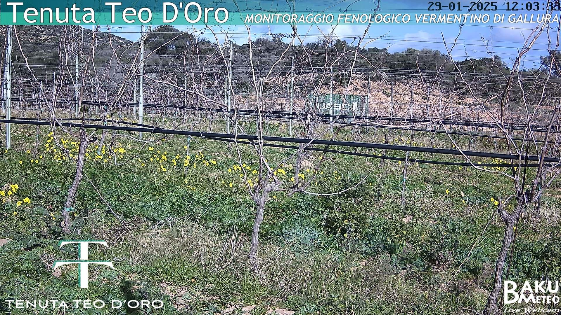 time-lapse frame,  webcam