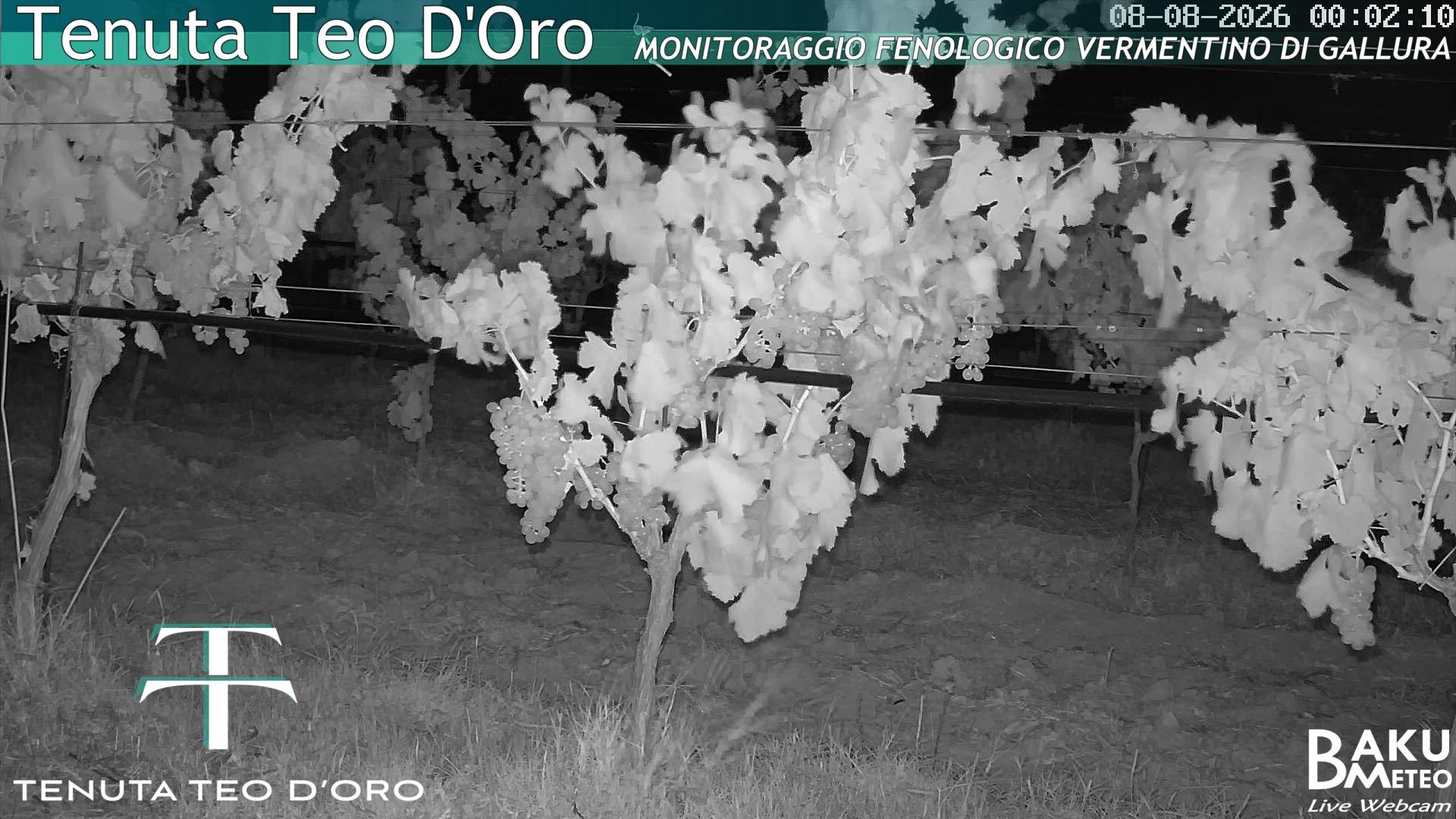 time-lapse frame, Teodoro webcam