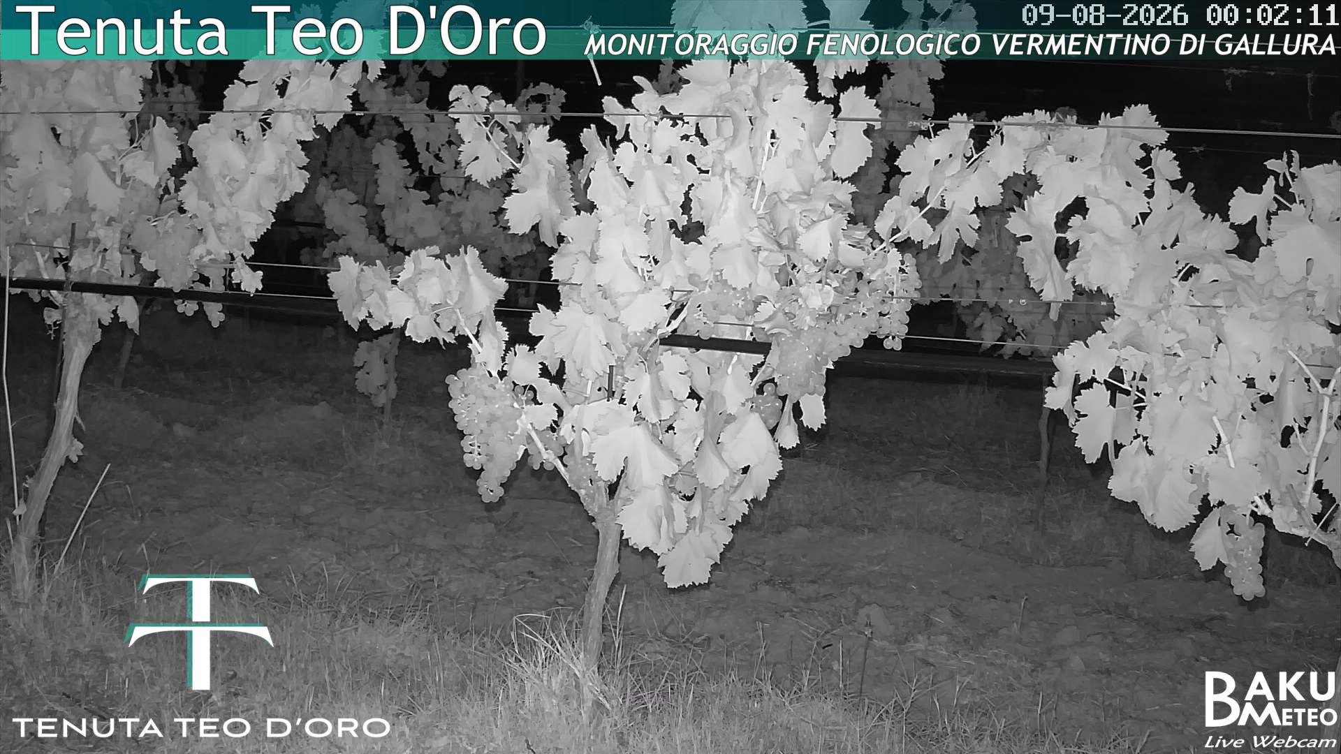 time-lapse frame, Teodoro webcam