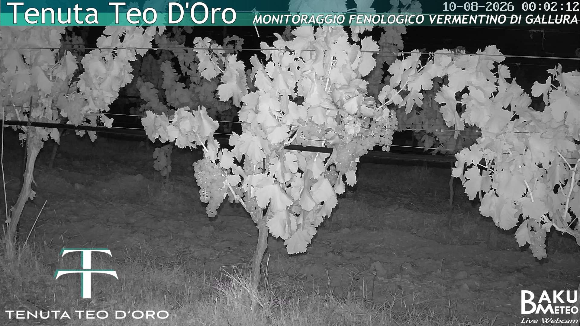 time-lapse frame, Teodoro webcam