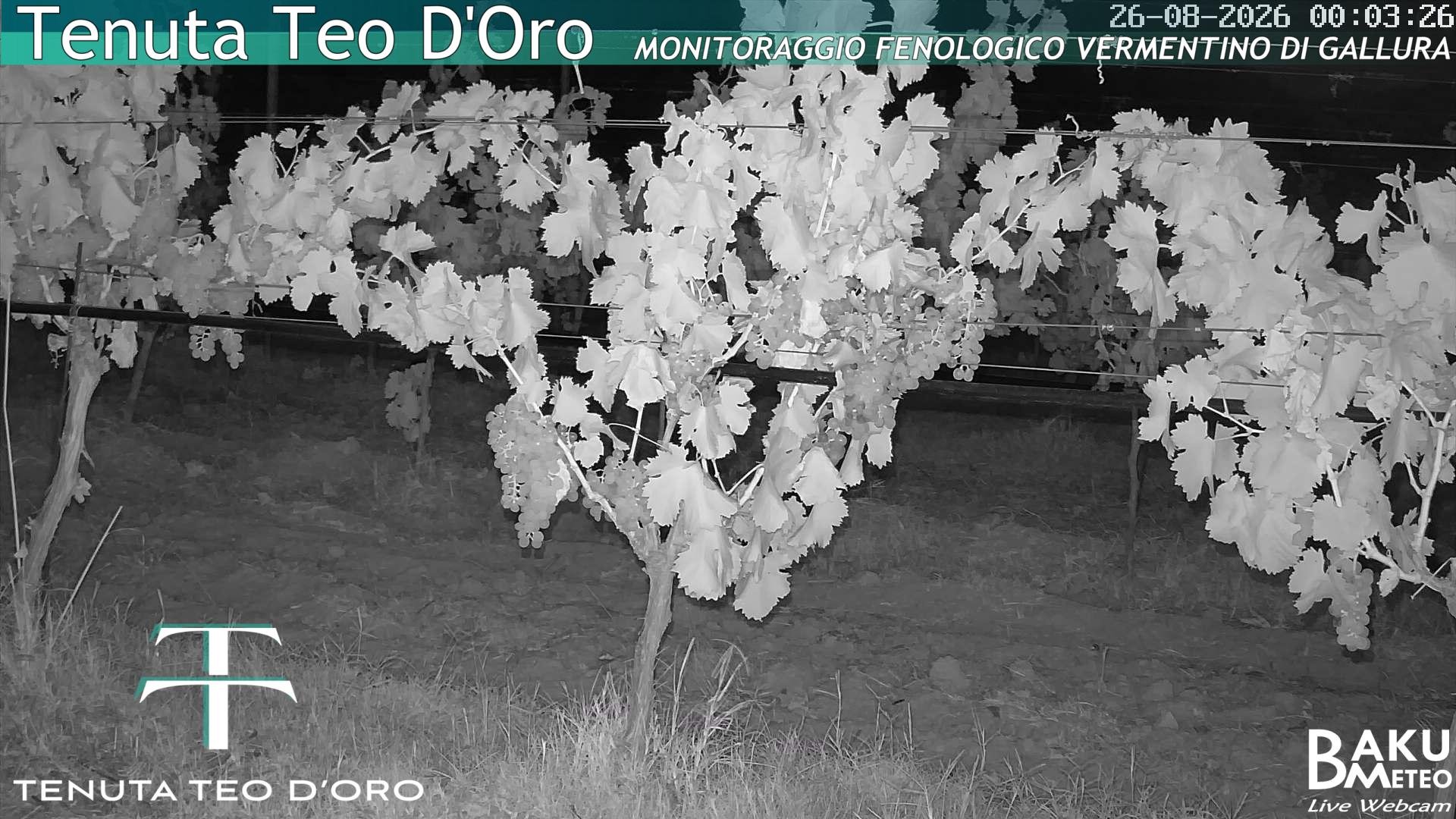 time-lapse frame, Teodoro webcam