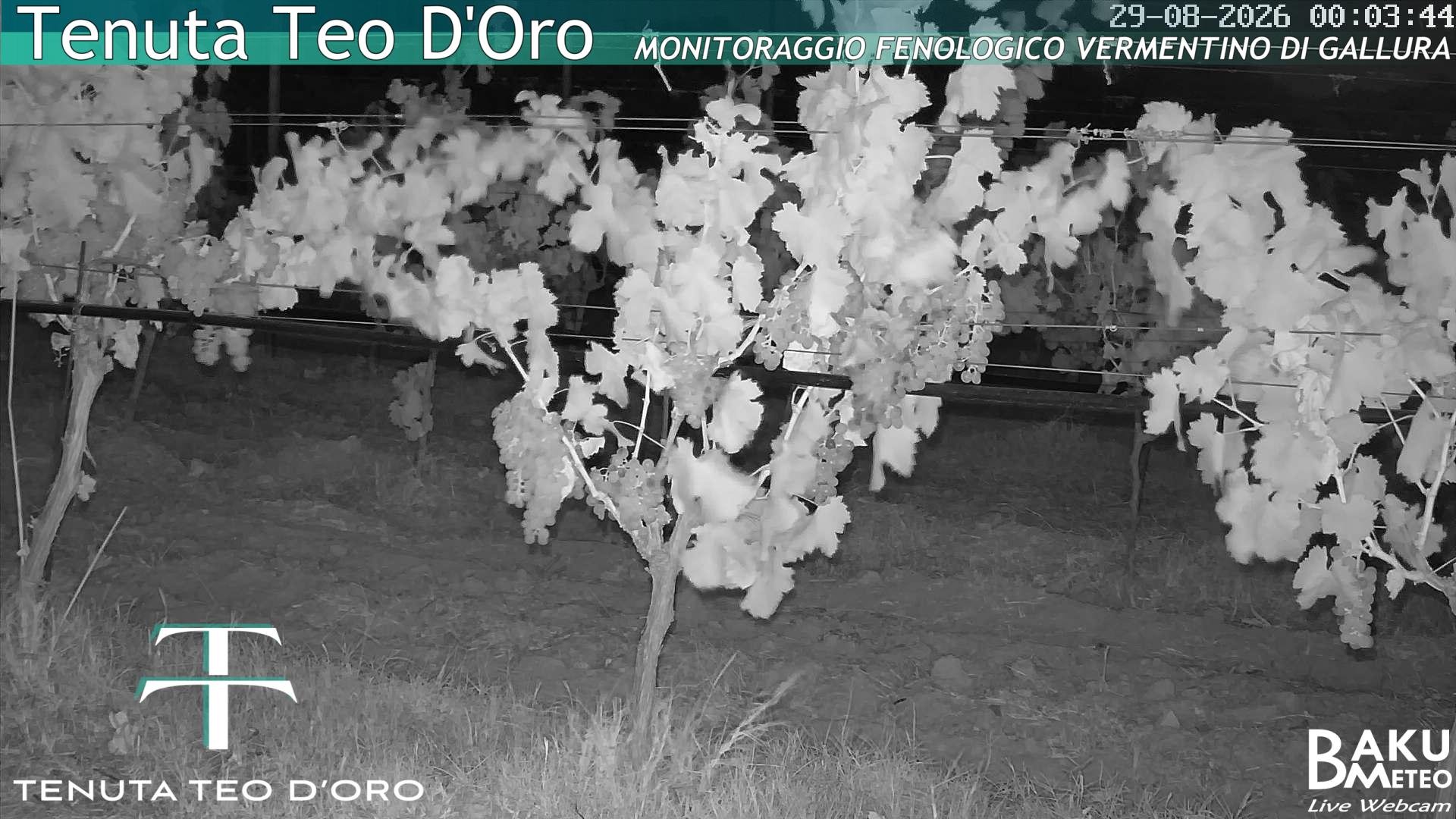time-lapse frame, Teodoro webcam