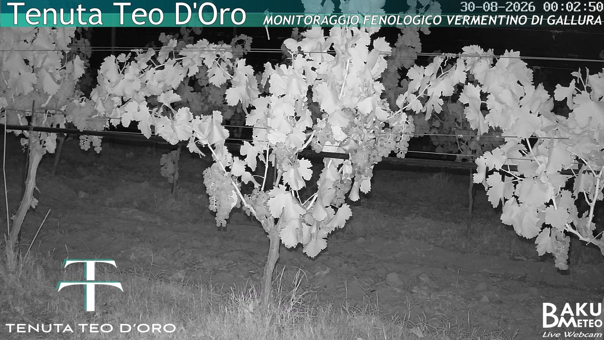 time-lapse frame, Teodoro webcam