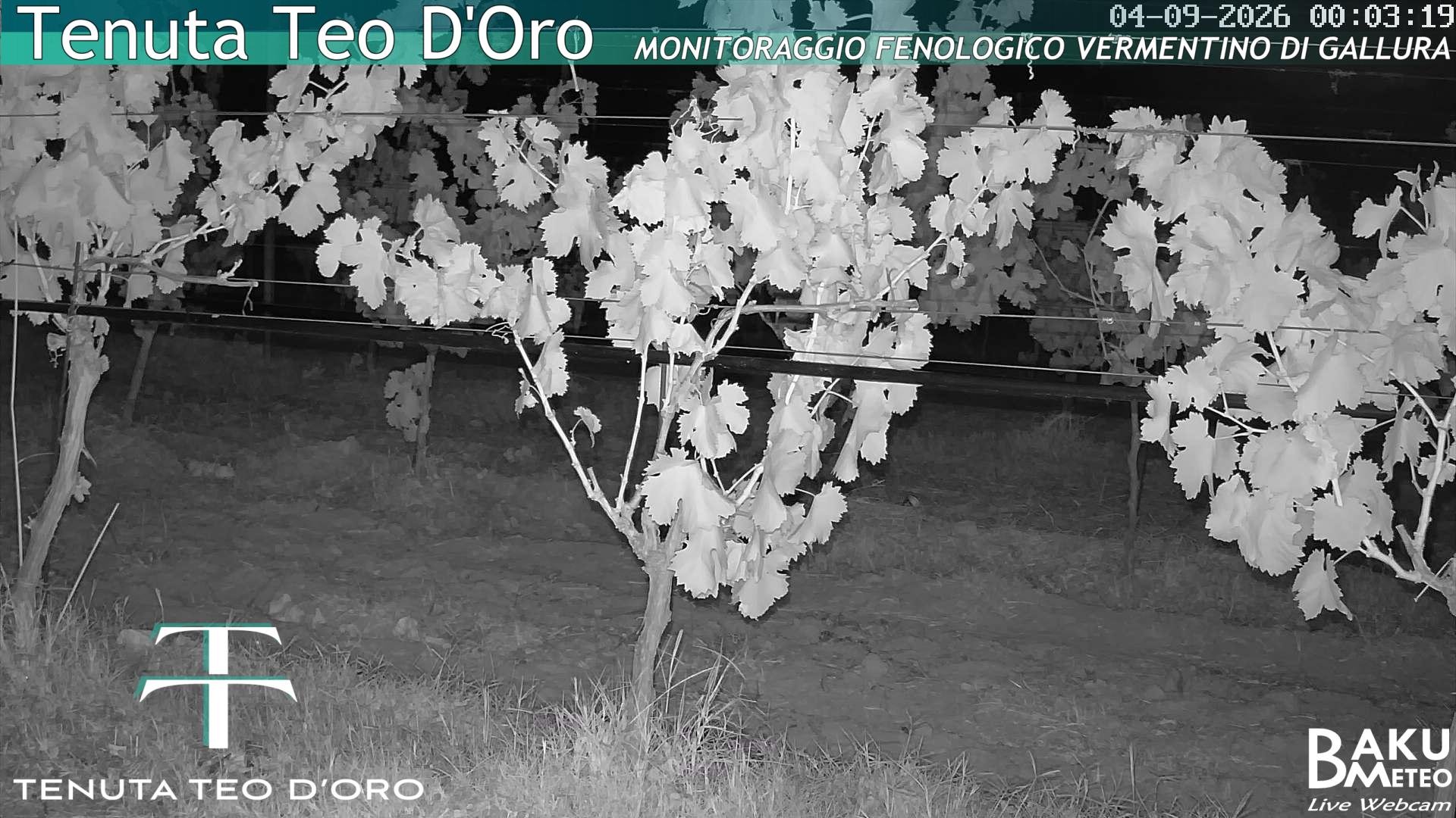 time-lapse frame, Teodoro webcam