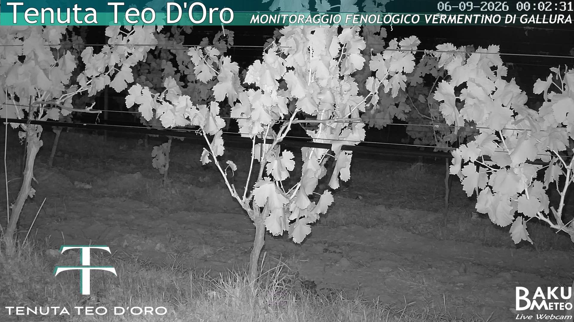 time-lapse frame, Teodoro webcam