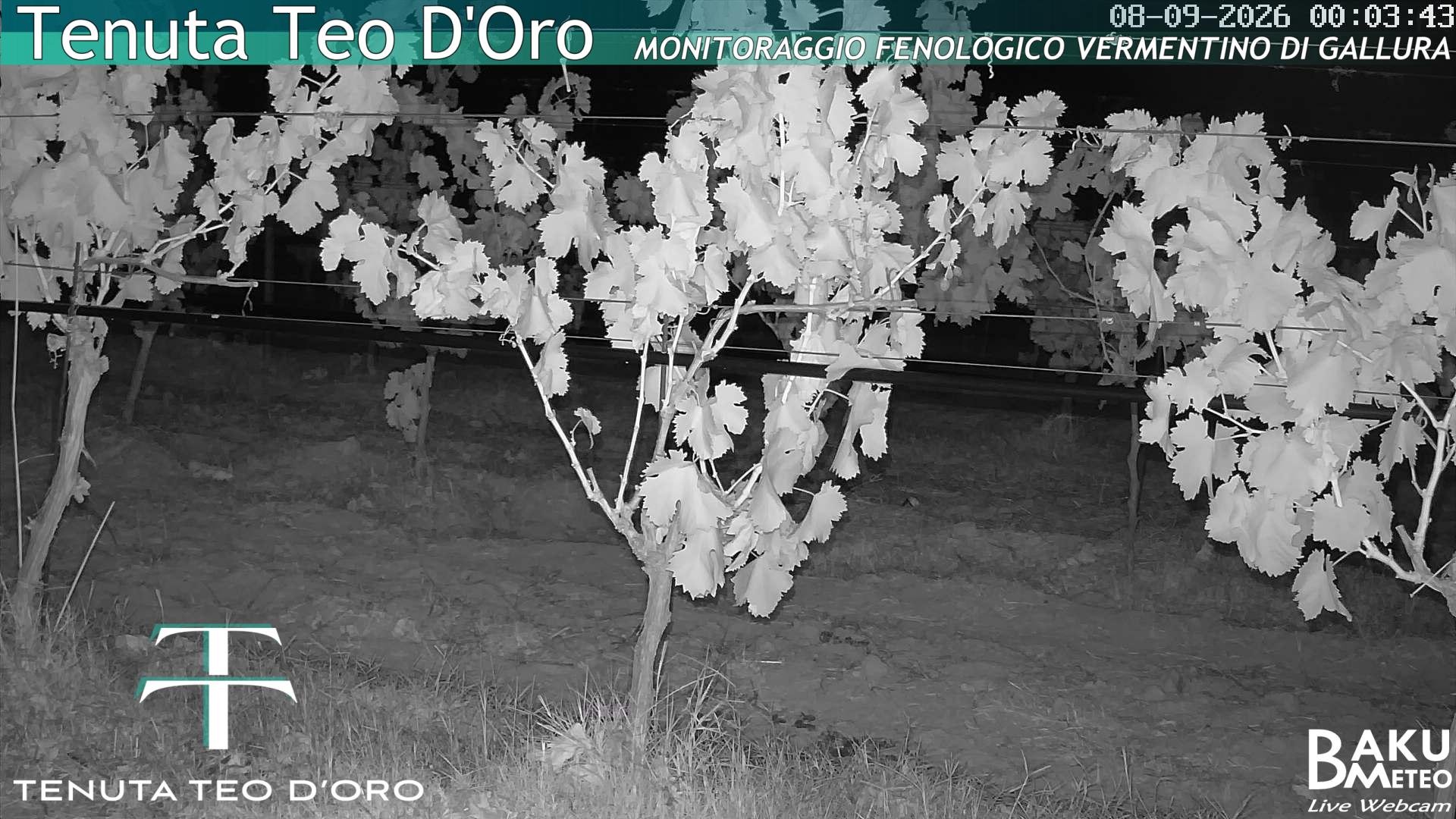 time-lapse frame, Teodoro webcam