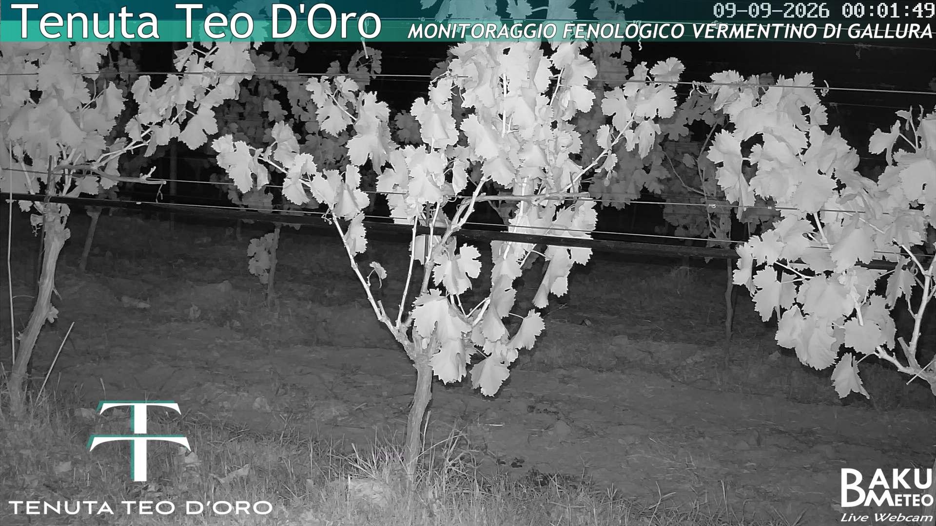 time-lapse frame, Teodoro webcam