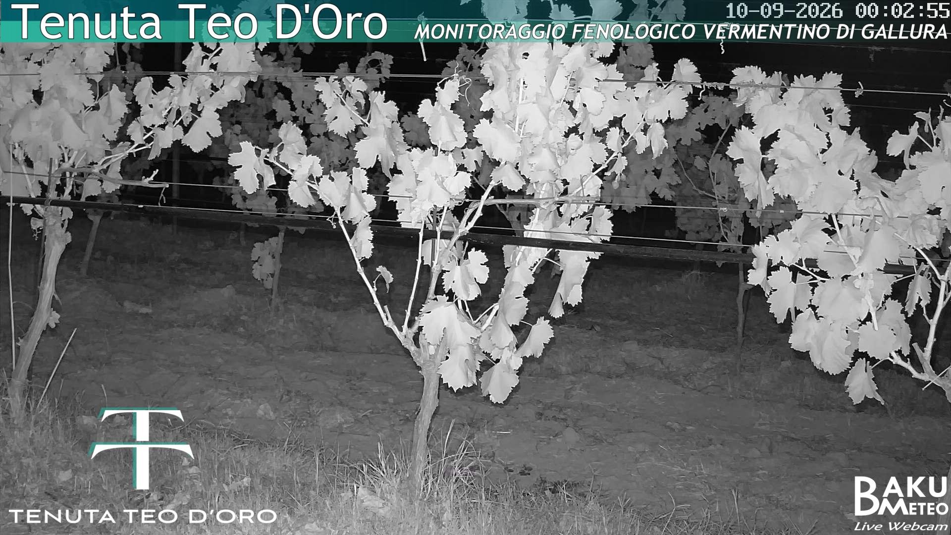 time-lapse frame, Teodoro webcam