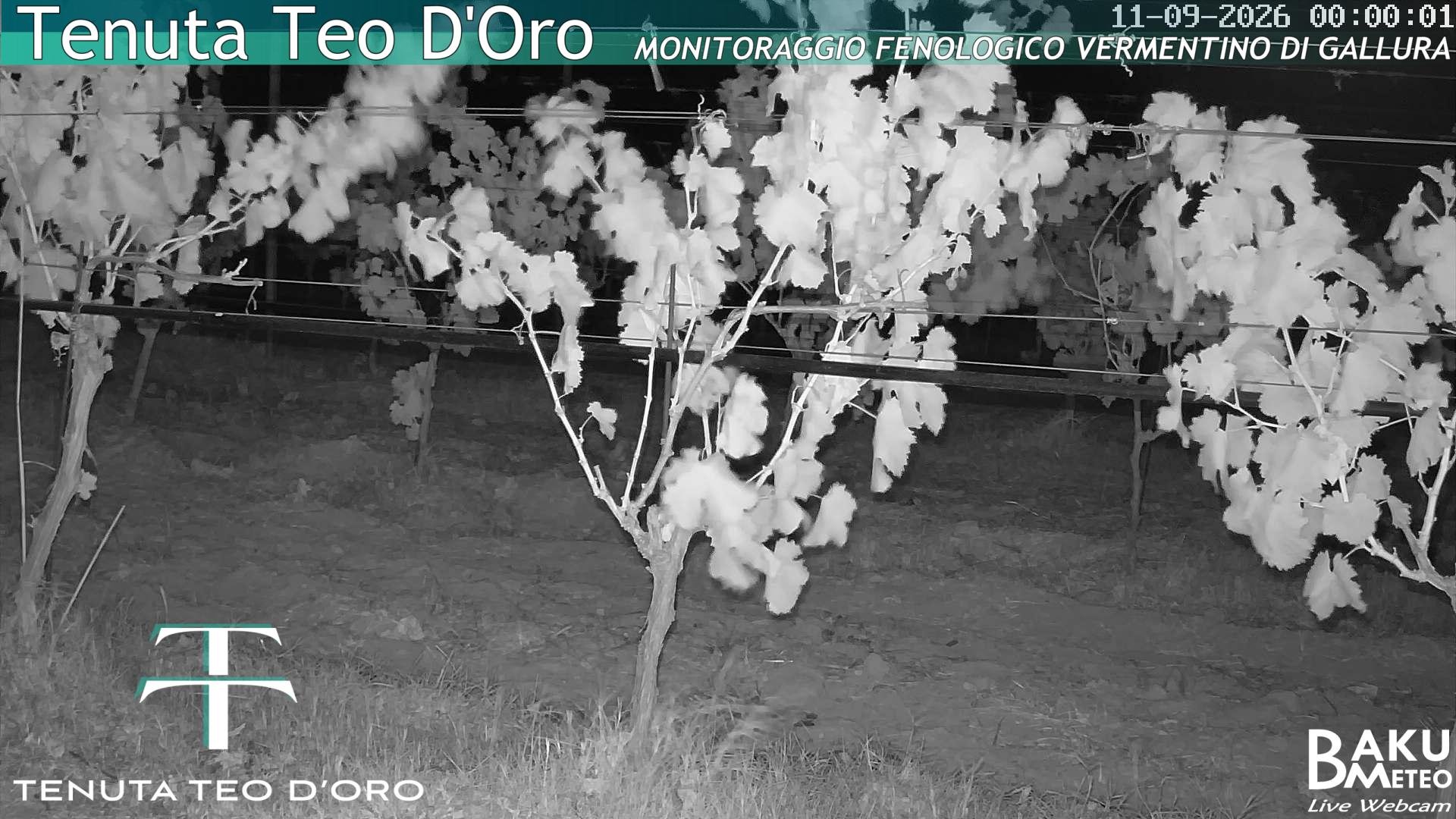 time-lapse frame, Teodoro webcam