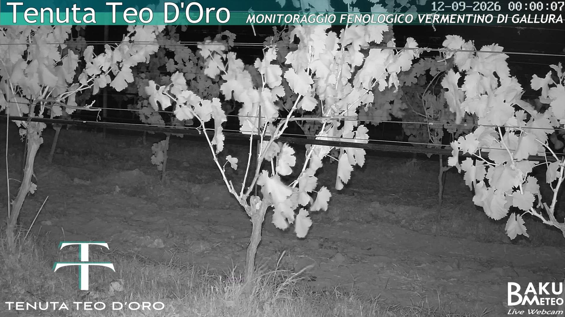 time-lapse frame, Teodoro webcam