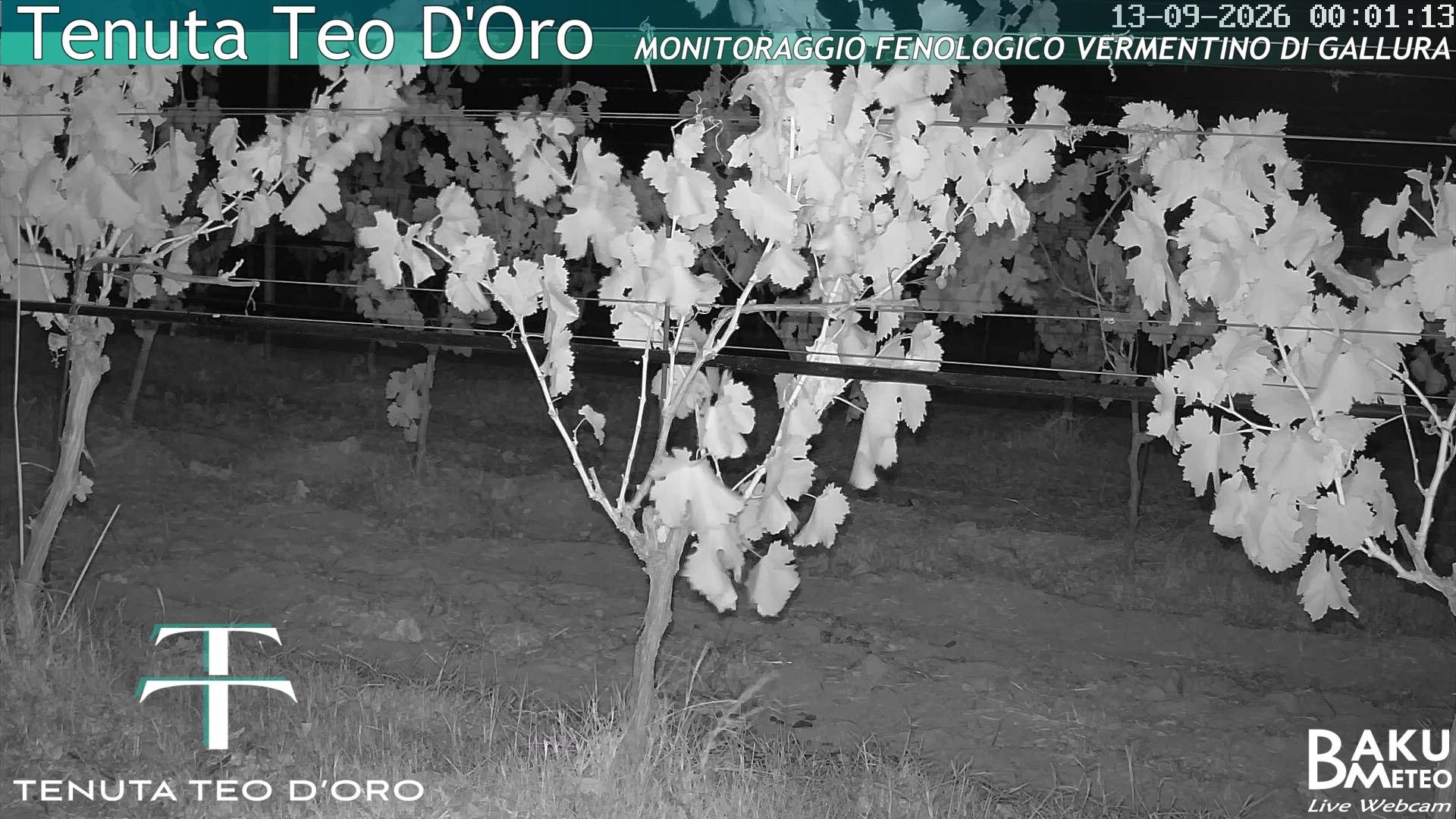 time-lapse frame, Teodoro webcam