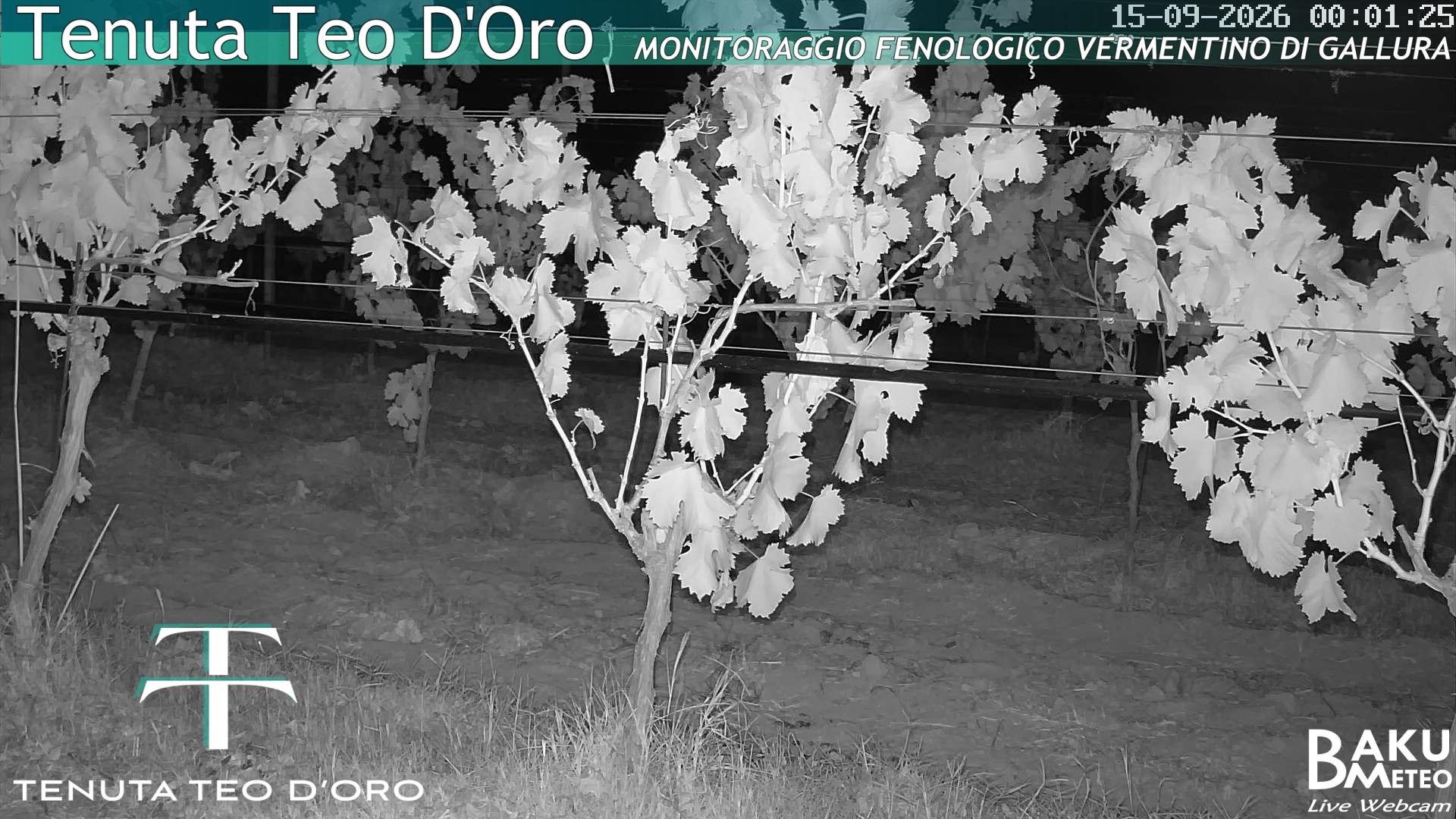 time-lapse frame, Teodoro webcam
