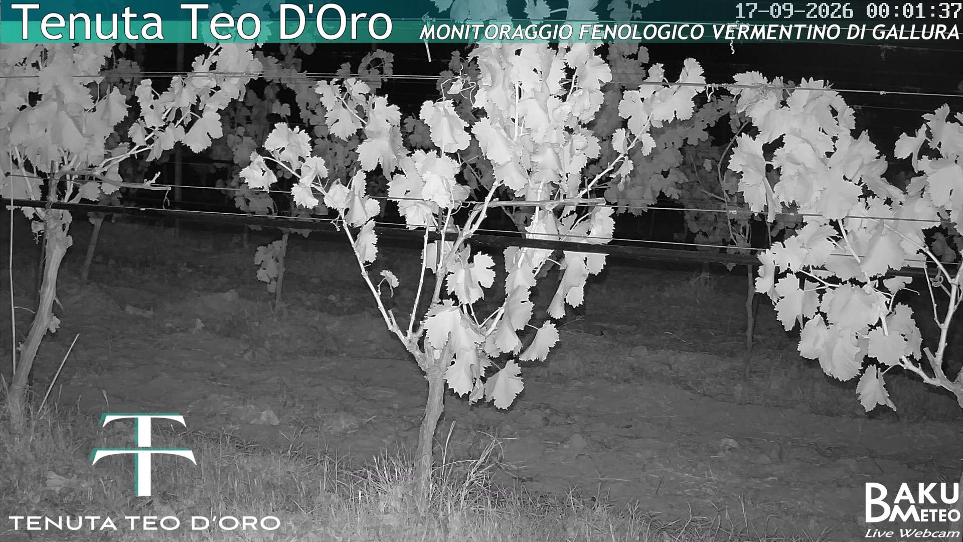 time-lapse frame, Teodoro webcam