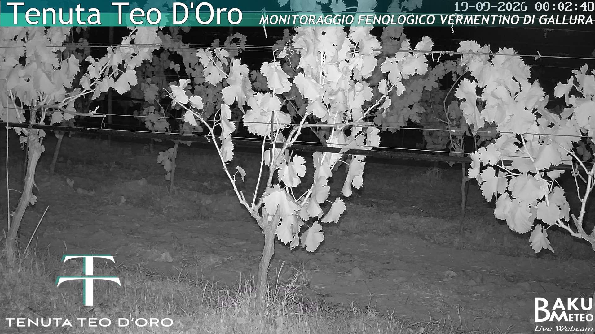 time-lapse frame, Teodoro webcam