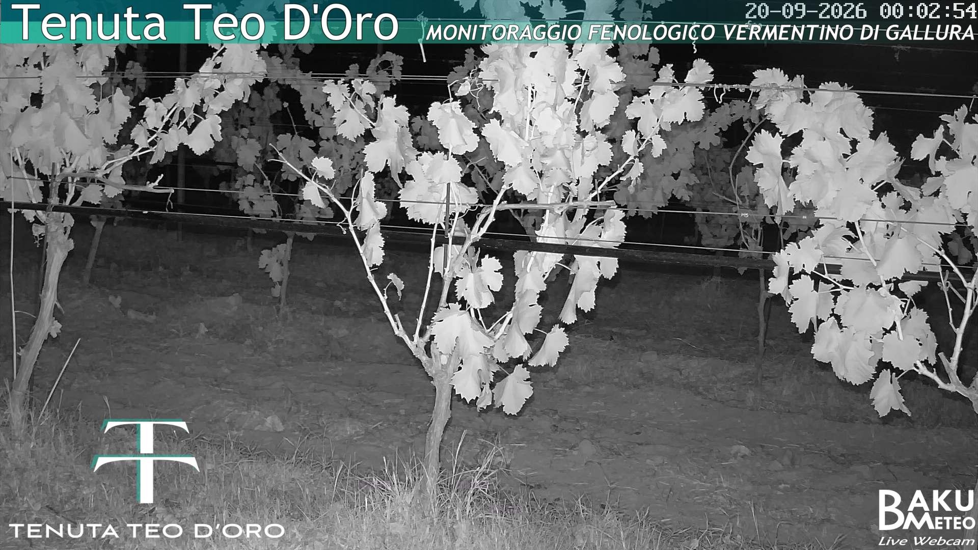 time-lapse frame, Teodoro webcam