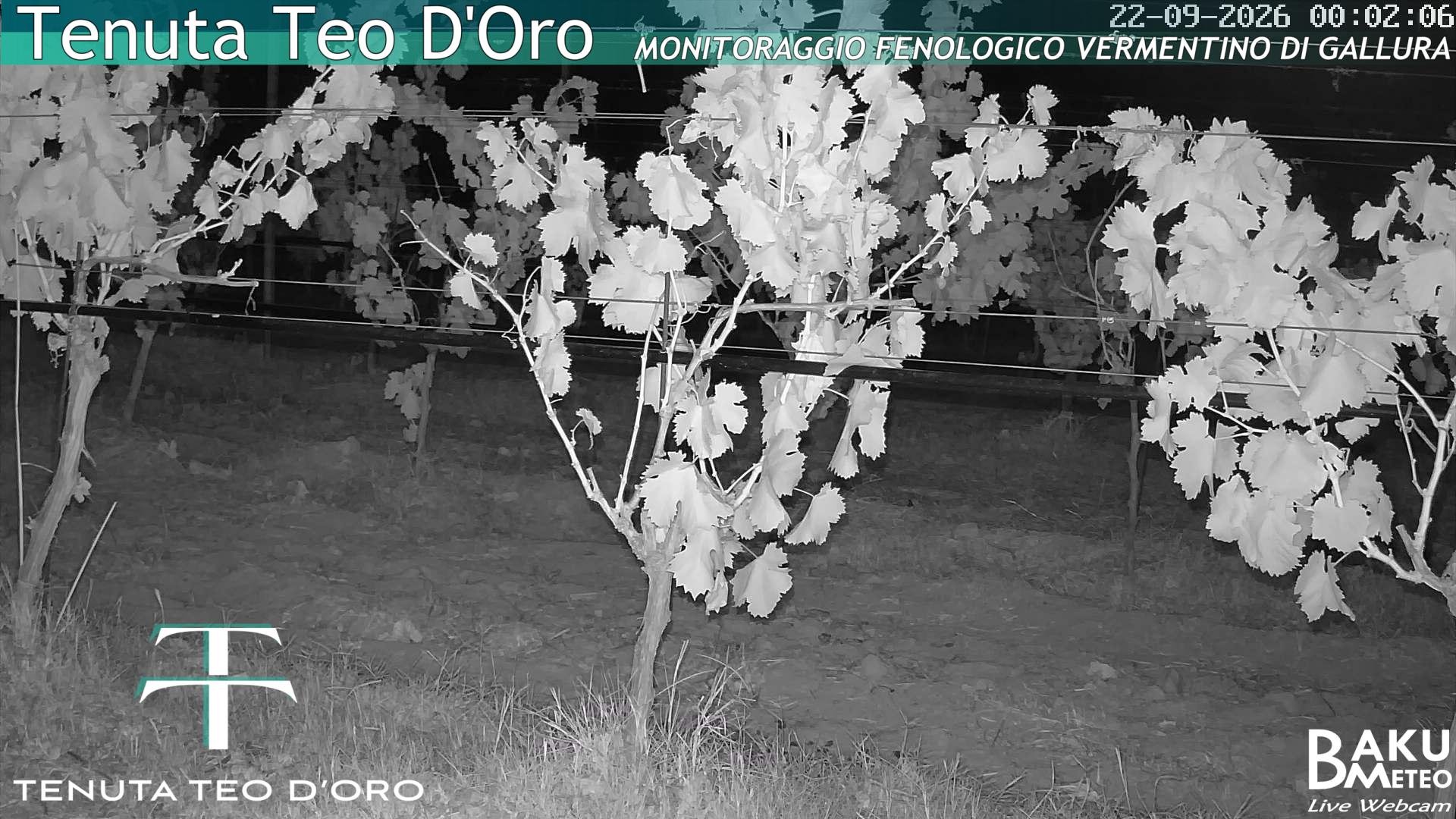 time-lapse frame, Teodoro webcam