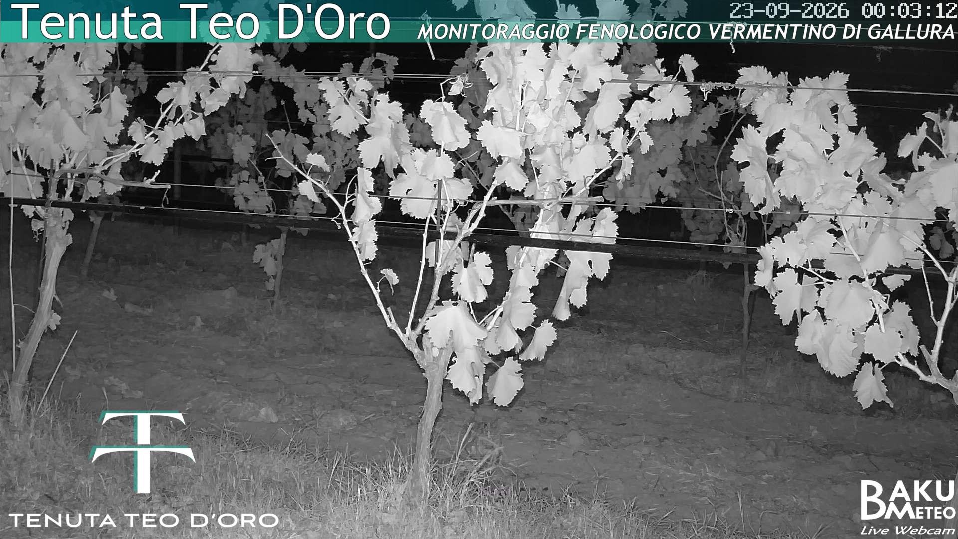 time-lapse frame, Teodoro webcam