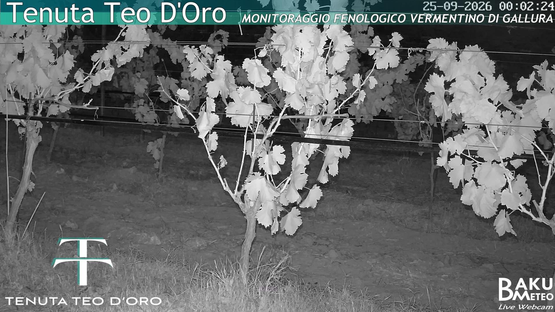 time-lapse frame, Teodoro webcam
