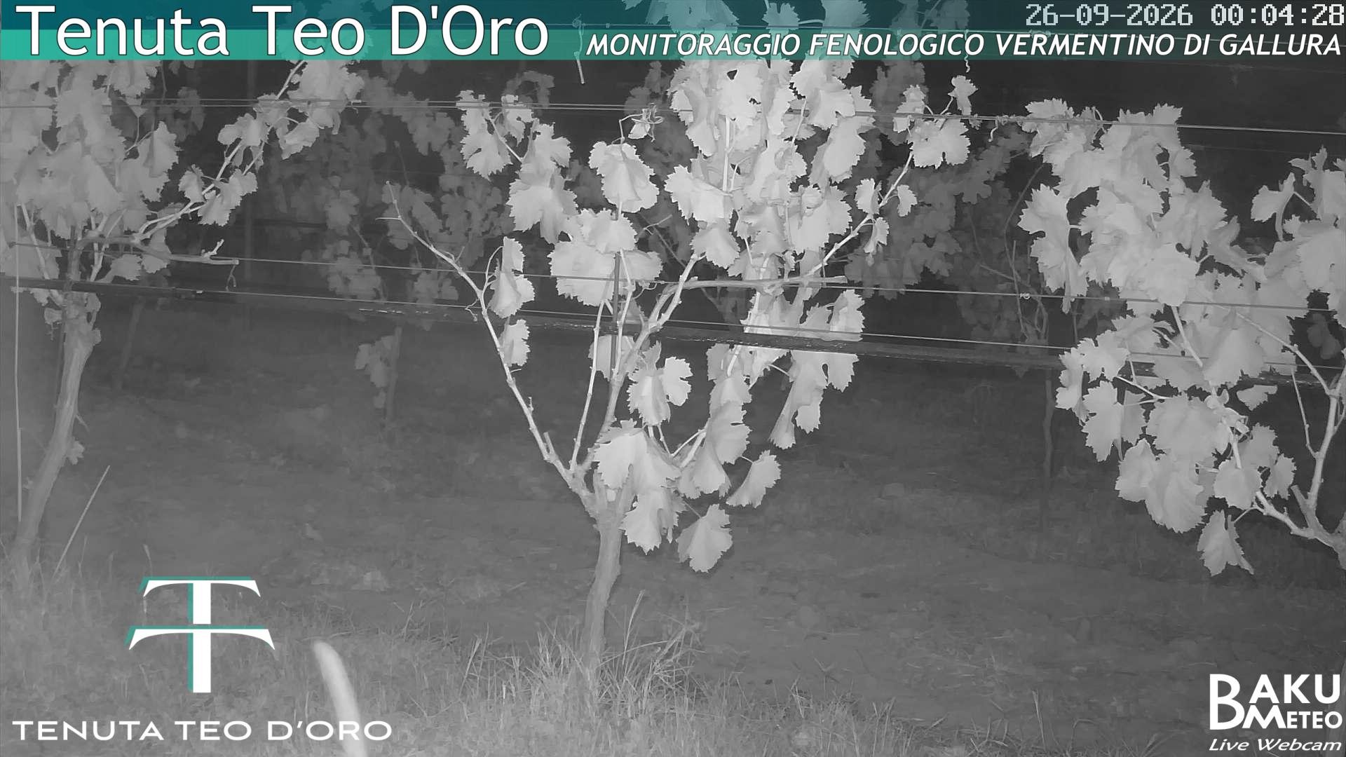 time-lapse frame, Teodoro webcam