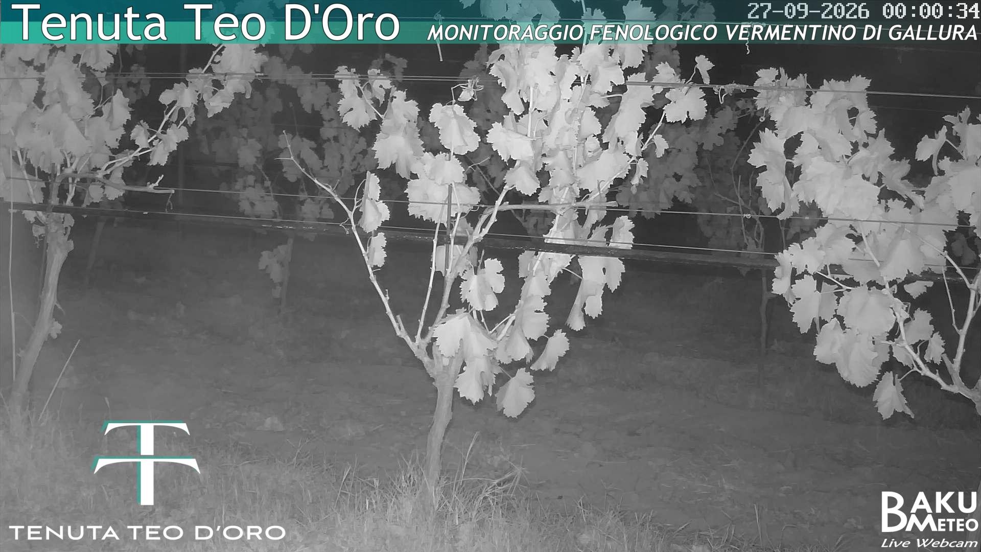 time-lapse frame, Teodoro webcam
