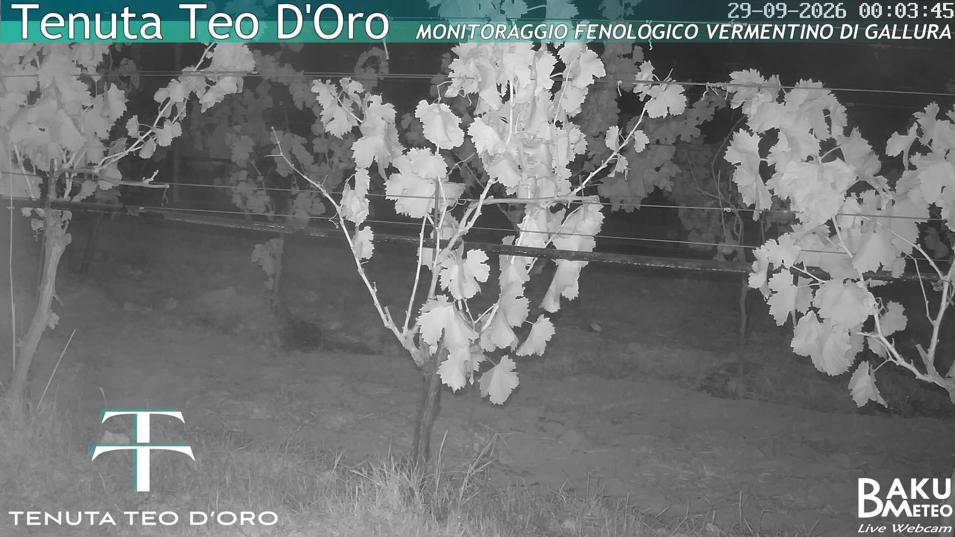 time-lapse frame, Teodoro webcam