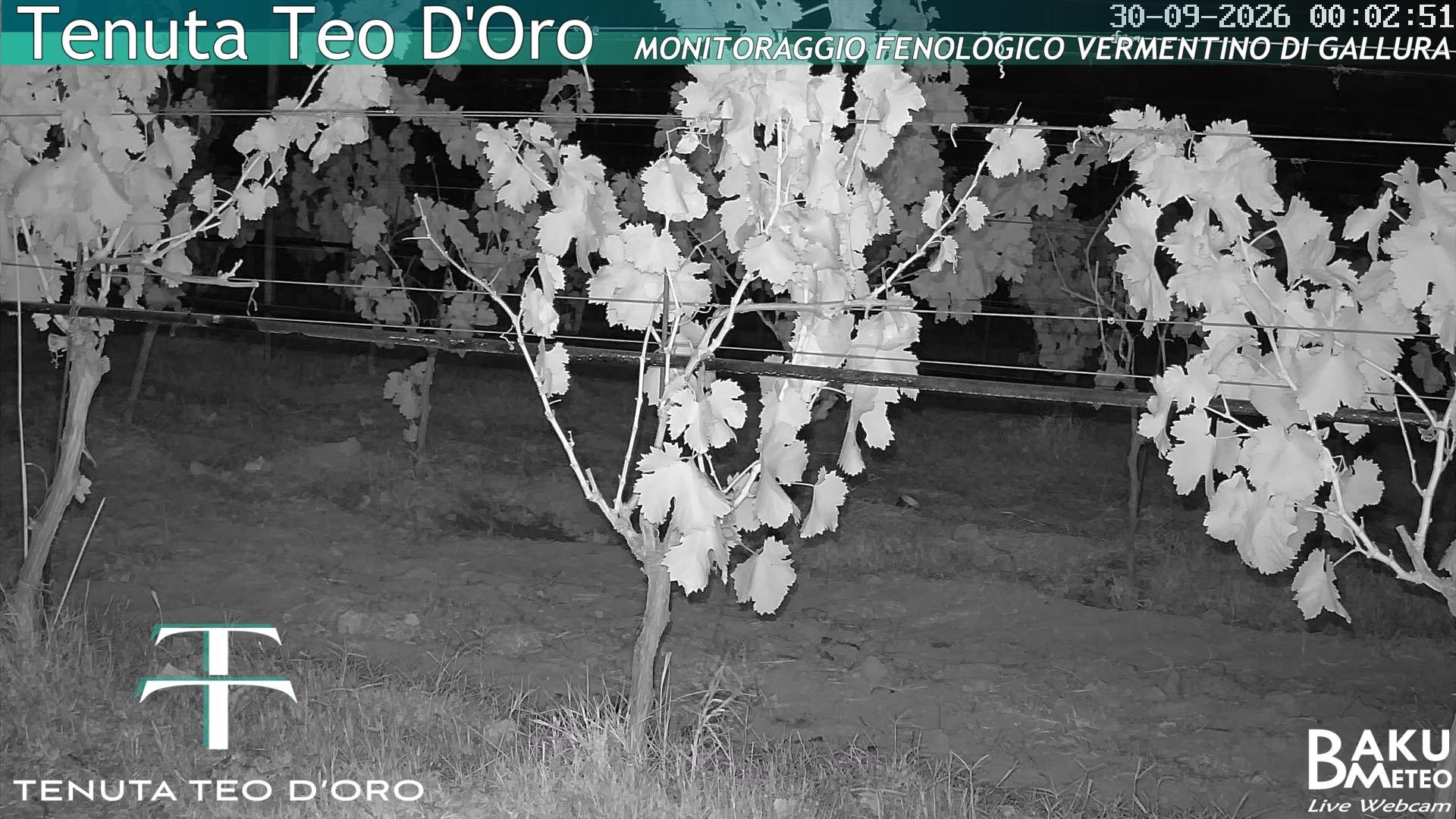 time-lapse frame, Teodoro webcam
