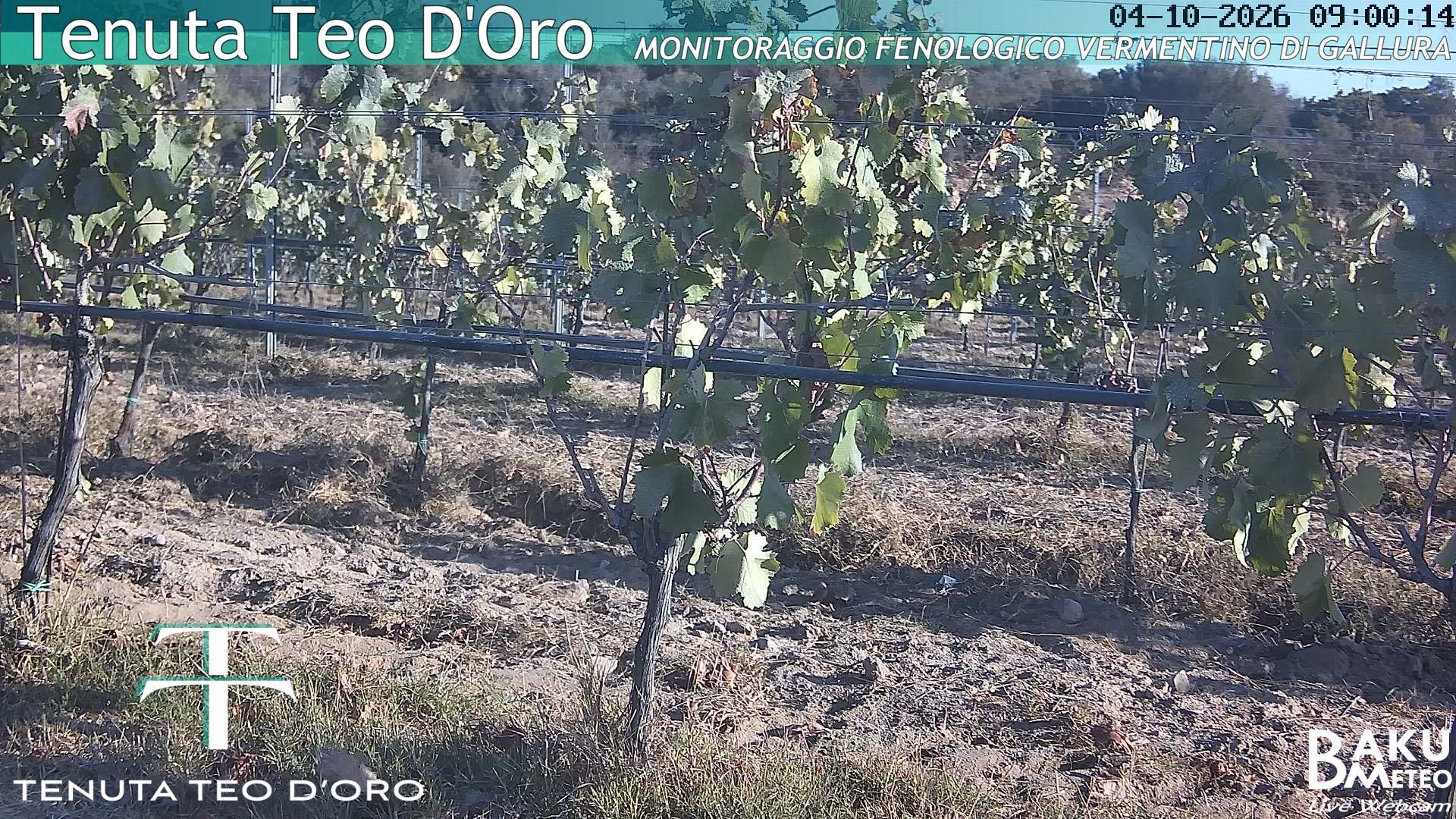 time-lapse frame, Teodoro webcam