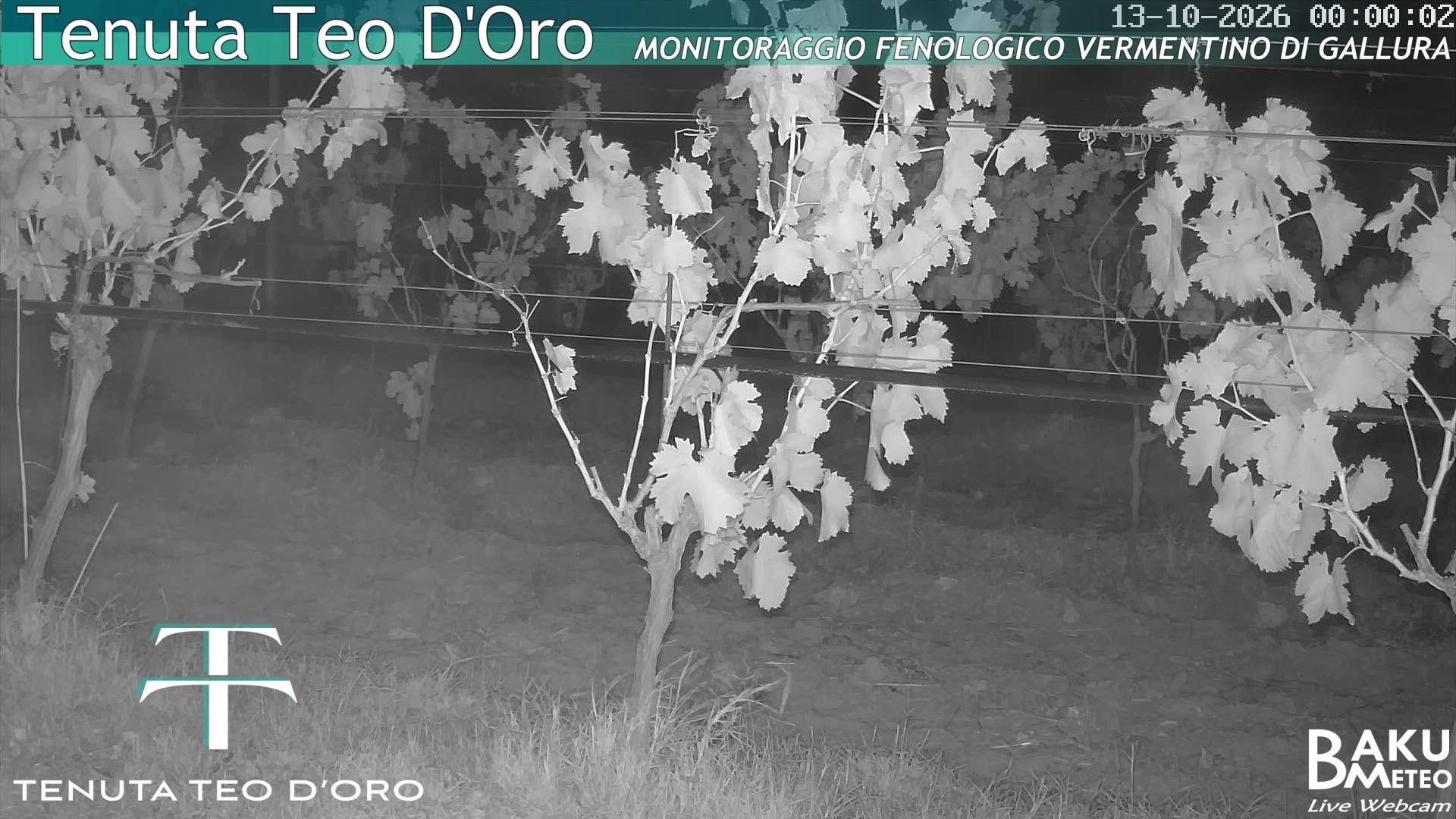 time-lapse frame, Teodoro webcam