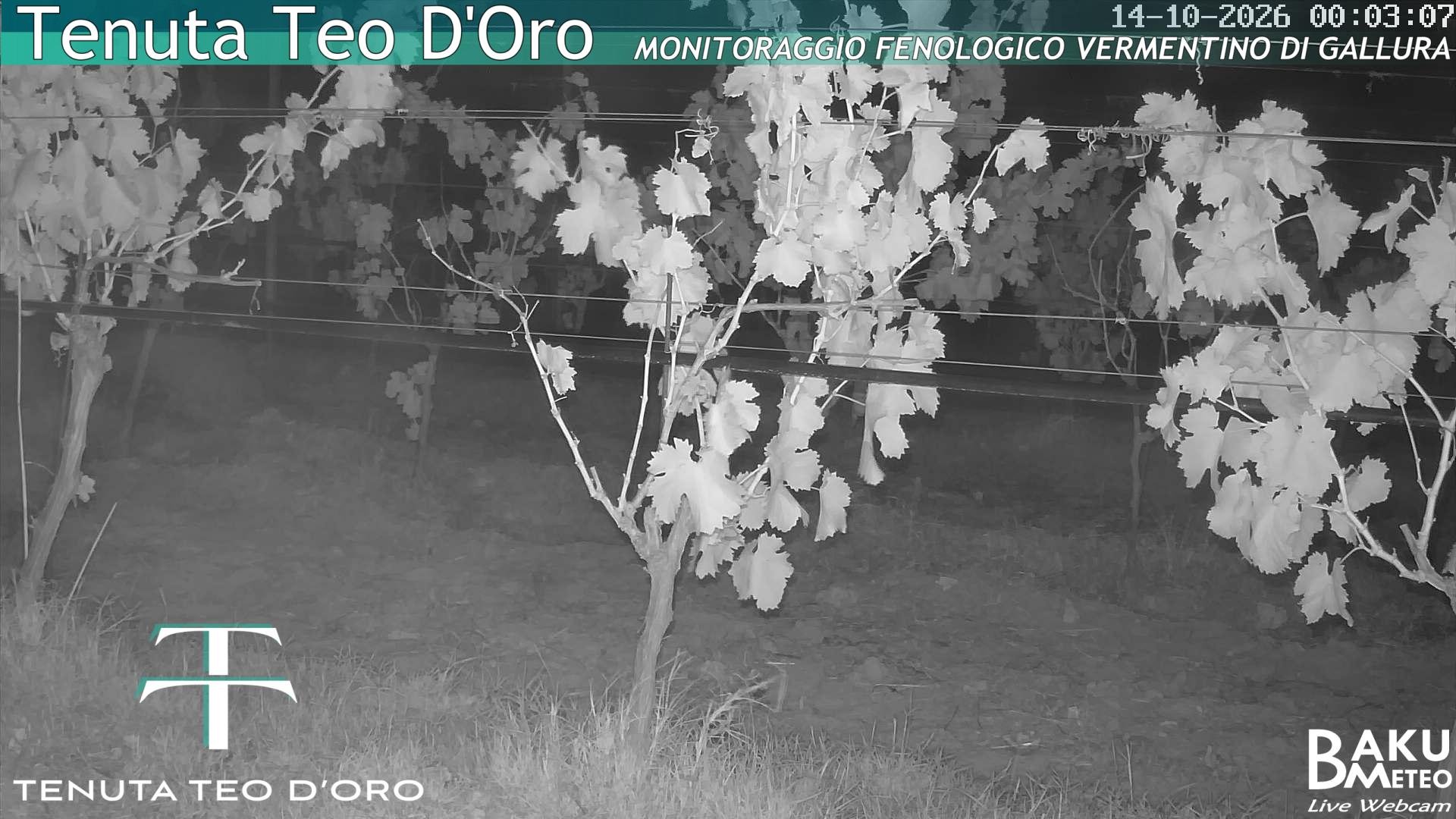 time-lapse frame, Teodoro webcam