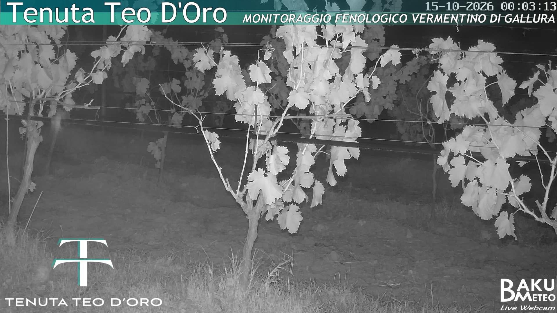 time-lapse frame, Teodoro webcam
