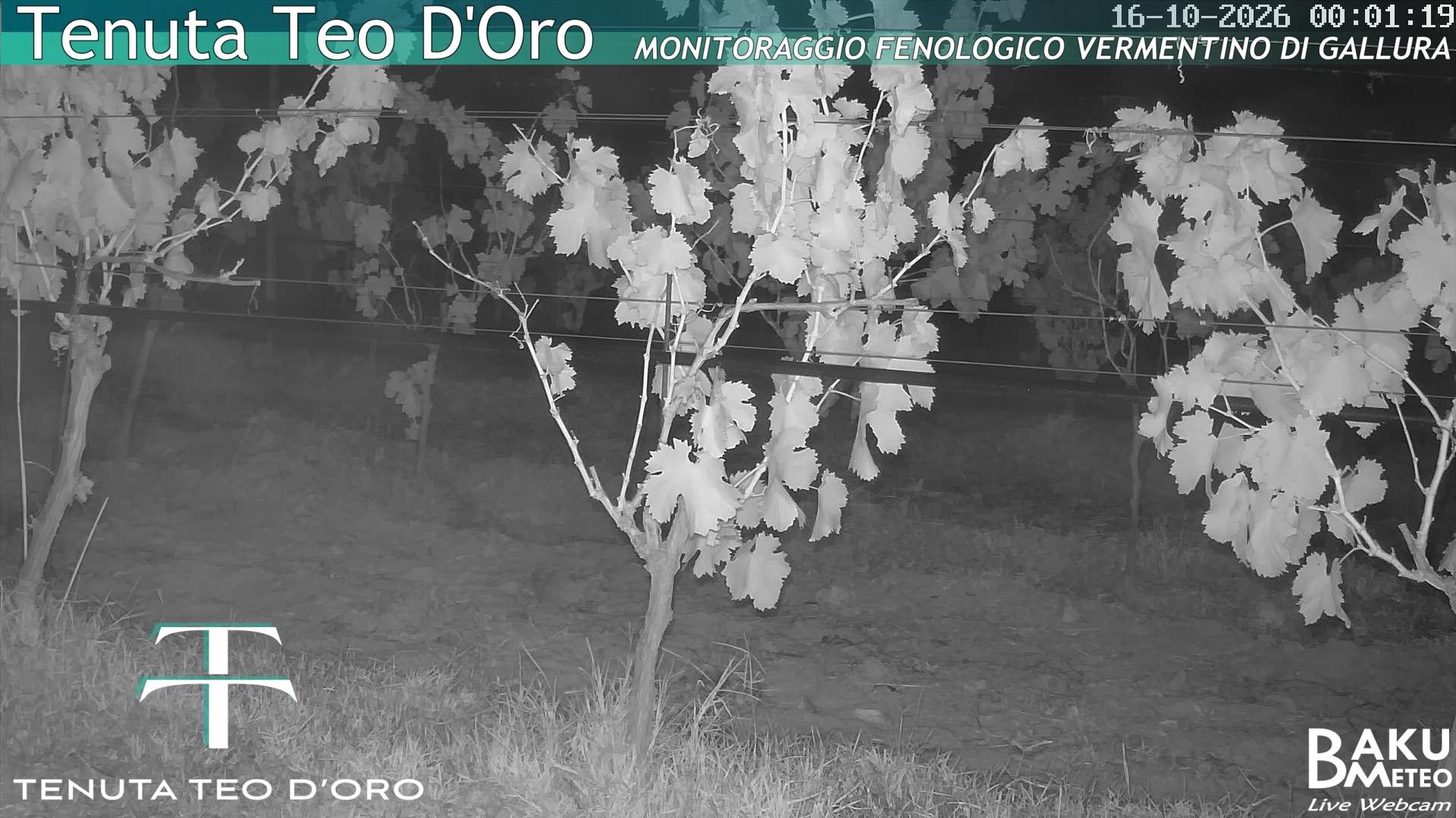 time-lapse frame, Teodoro webcam