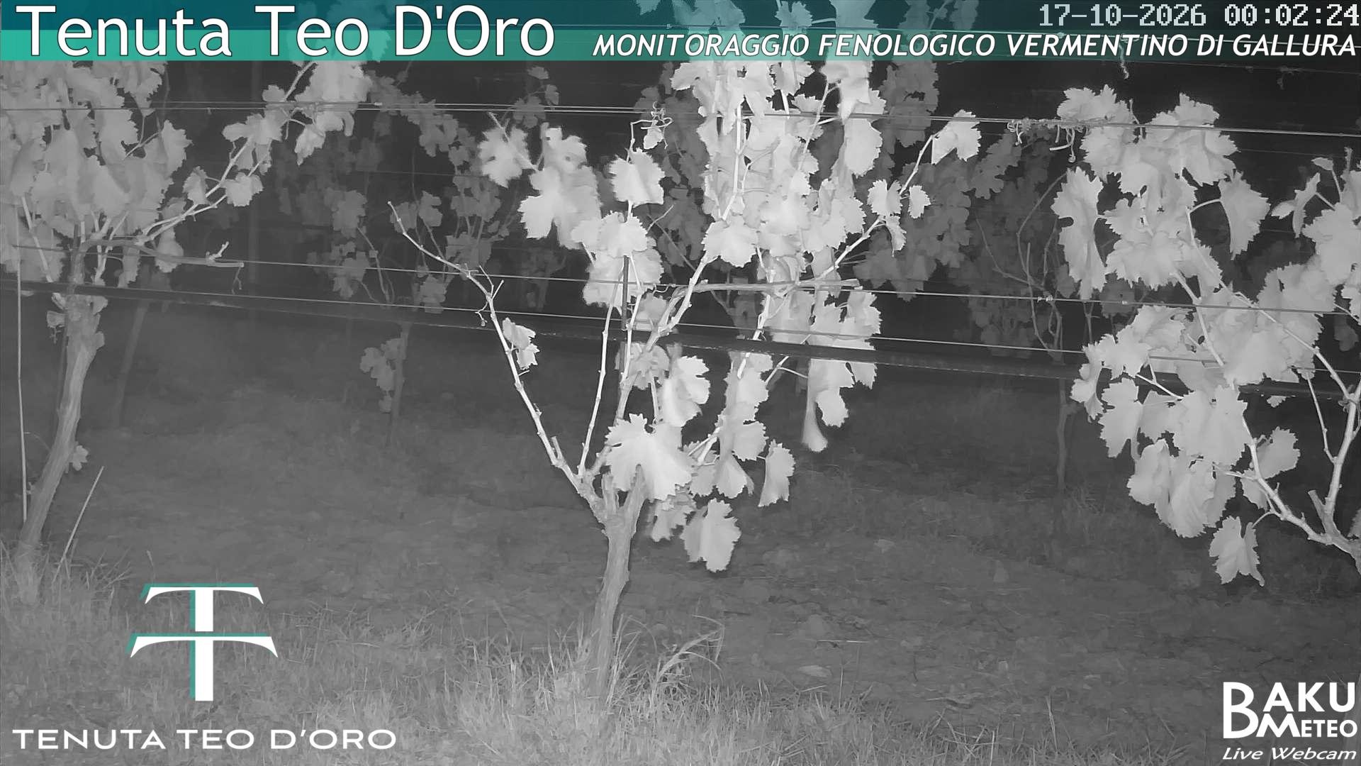 time-lapse frame, Teodoro webcam