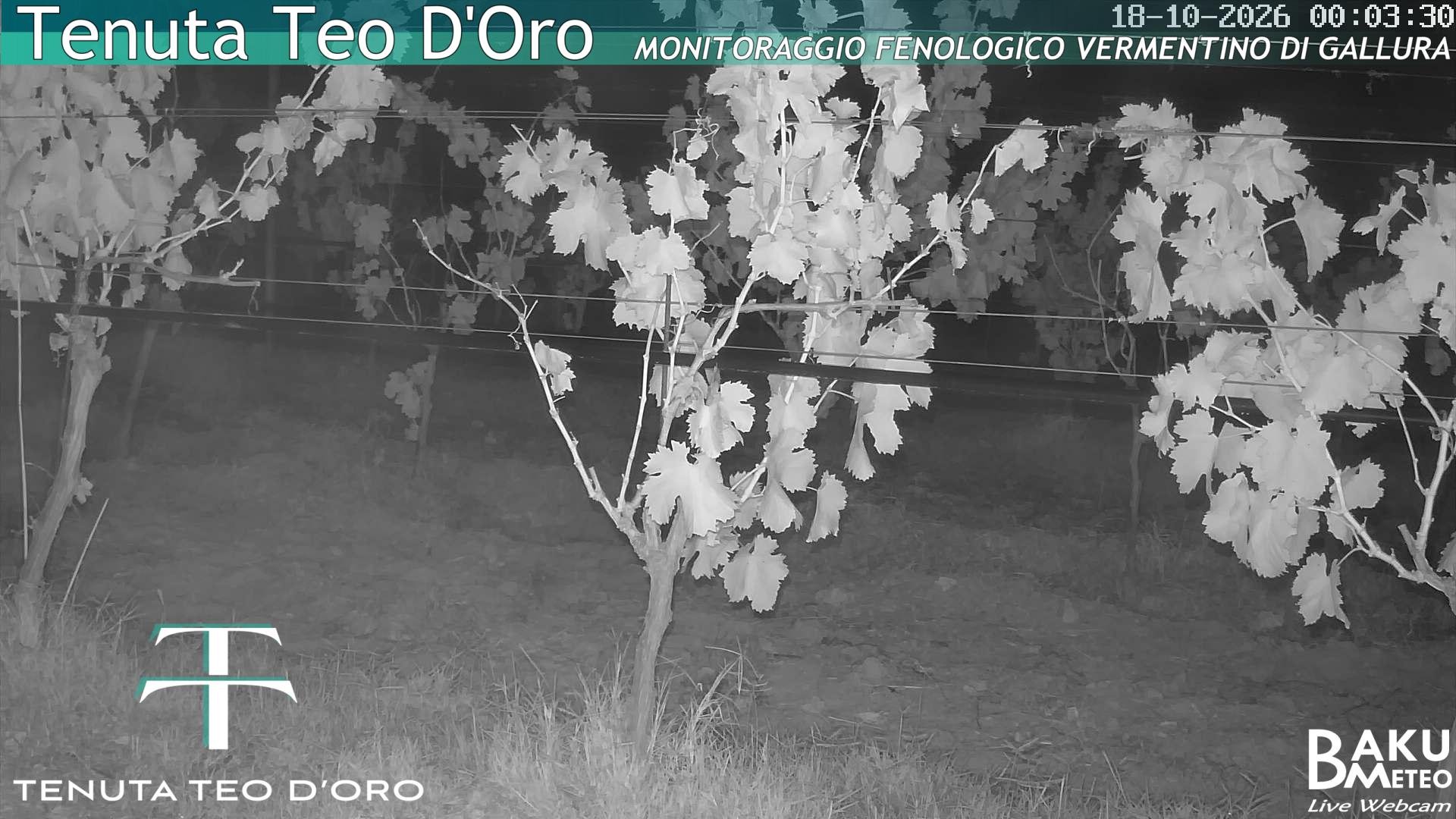 time-lapse frame, Teodoro webcam