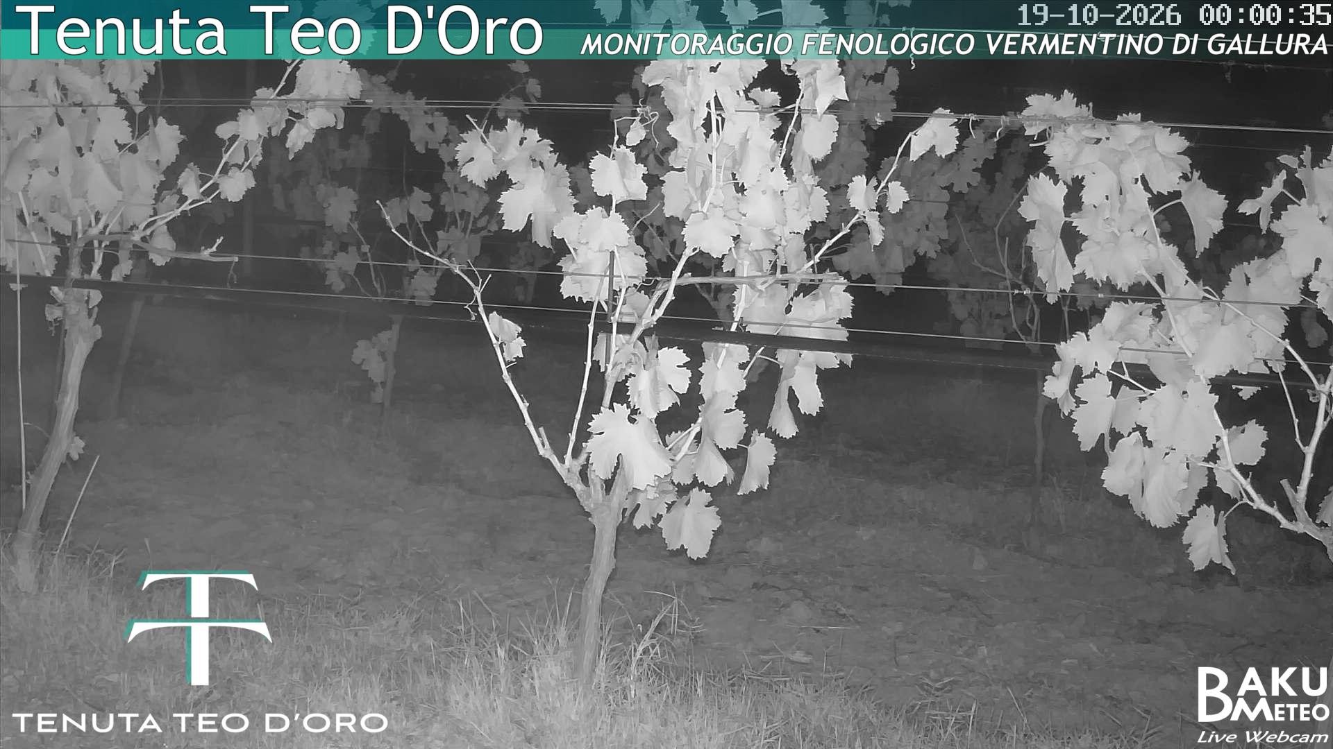 time-lapse frame, Teodoro webcam