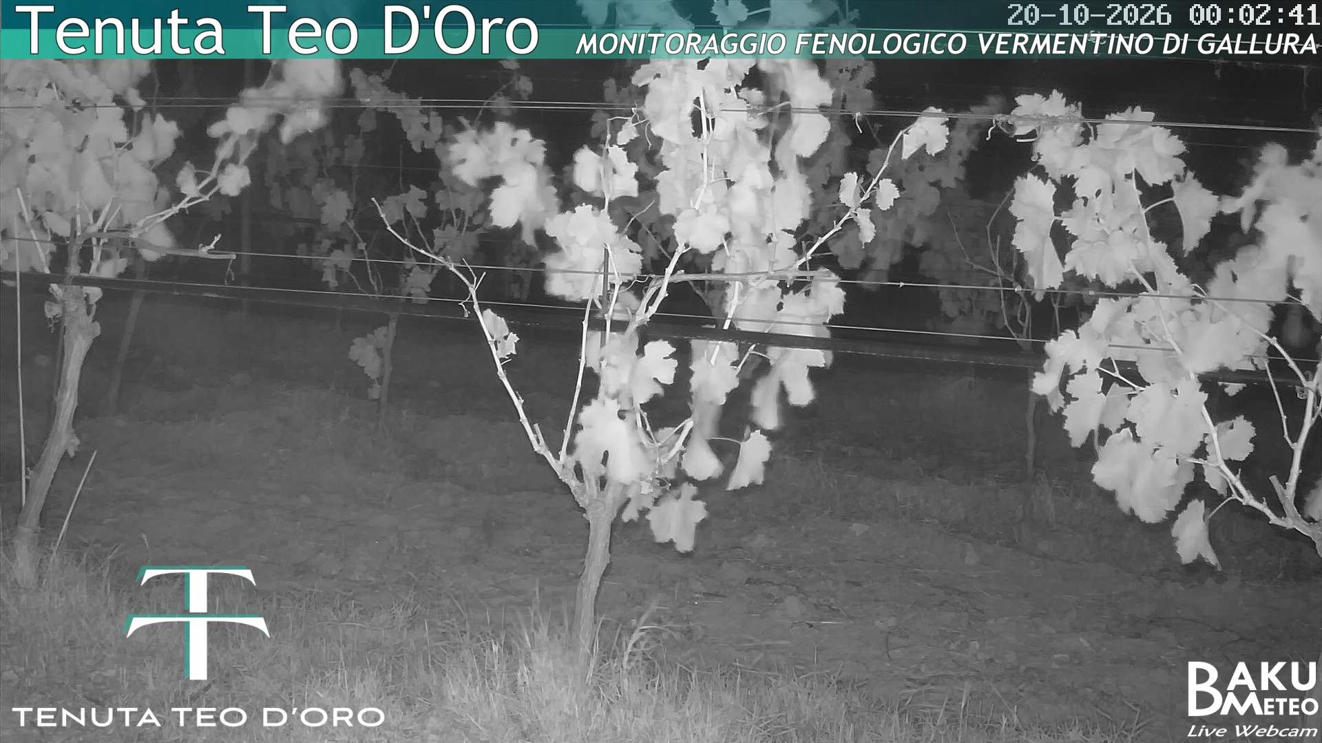 time-lapse frame, Teodoro webcam