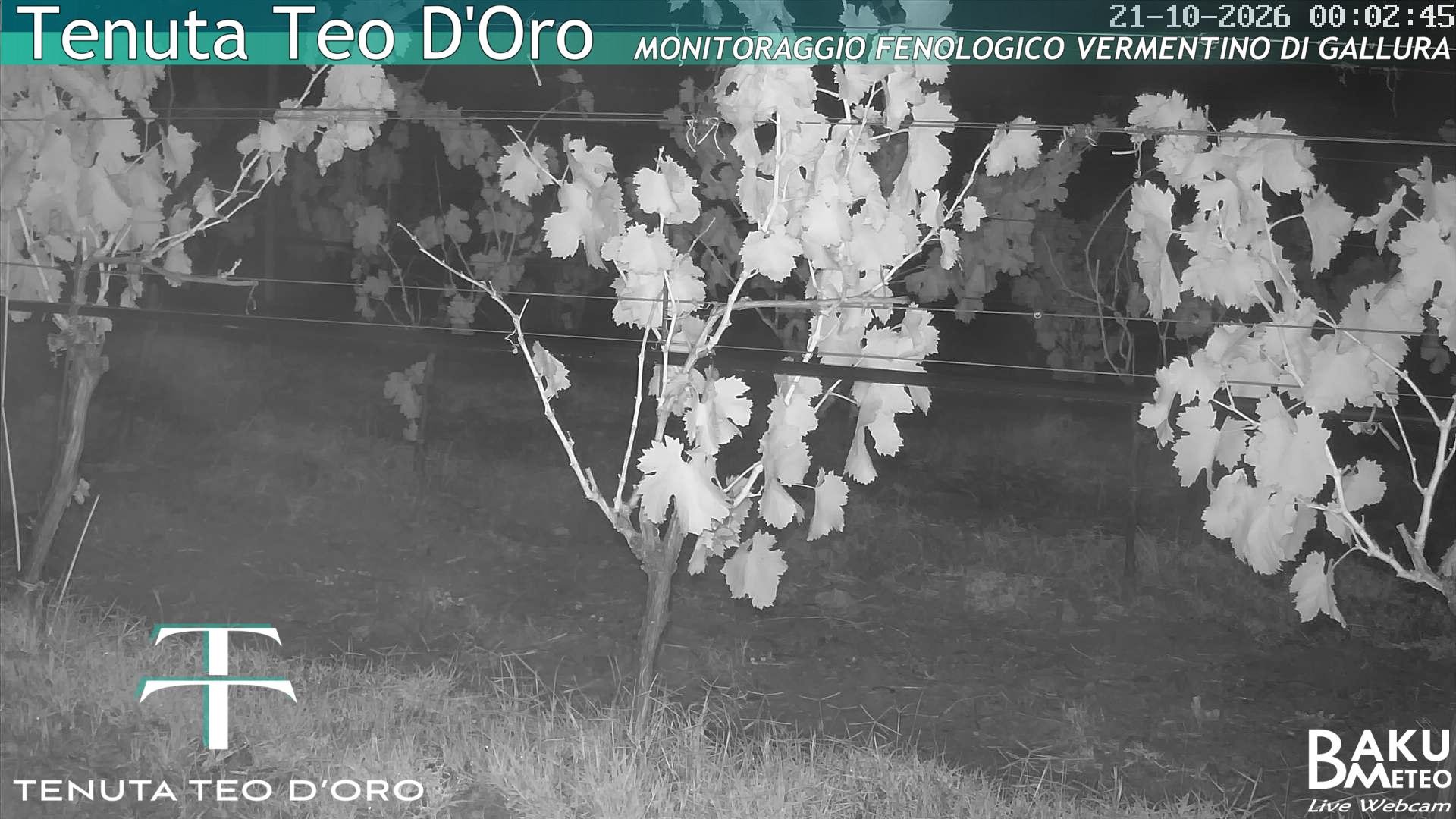 time-lapse frame, Teodoro webcam