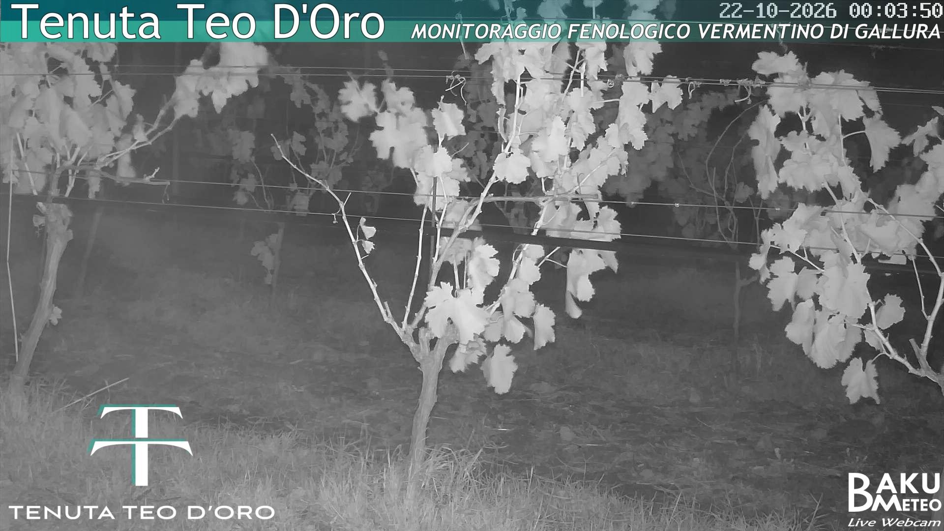 time-lapse frame, Teodoro webcam