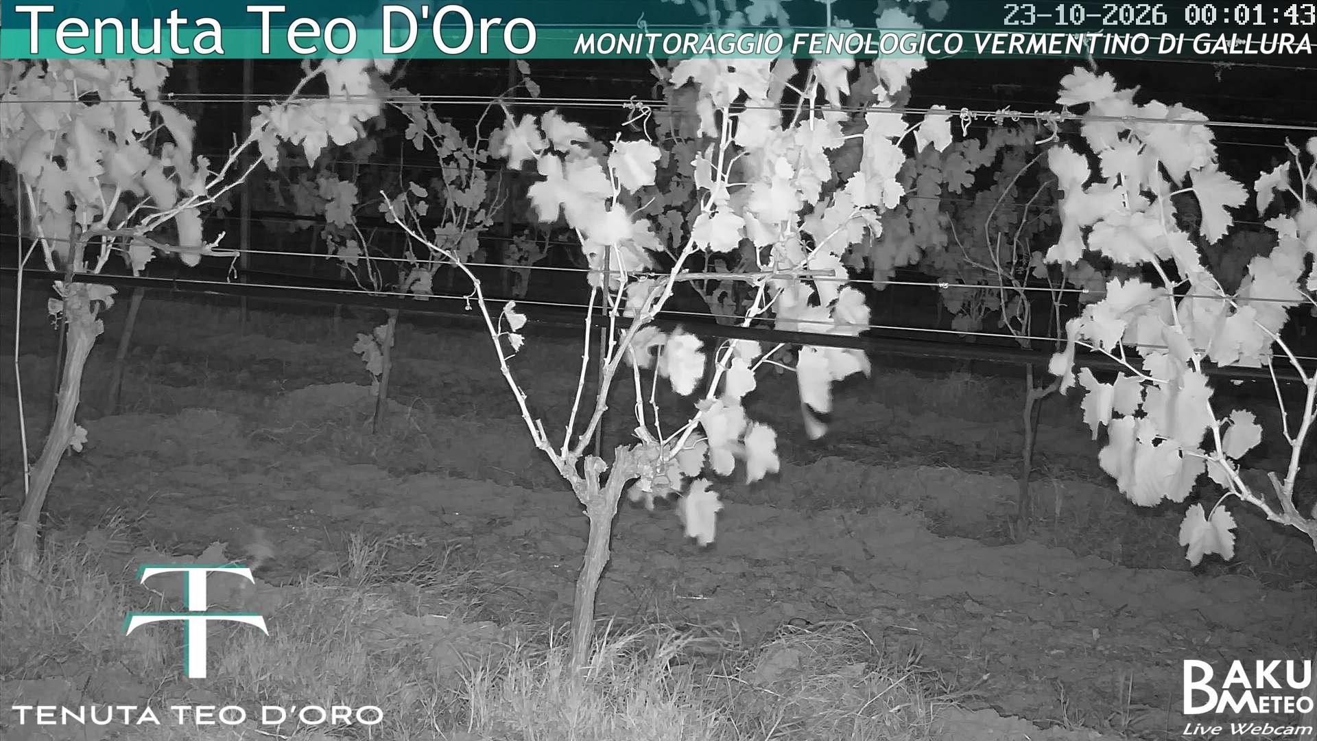 time-lapse frame, Teodoro webcam