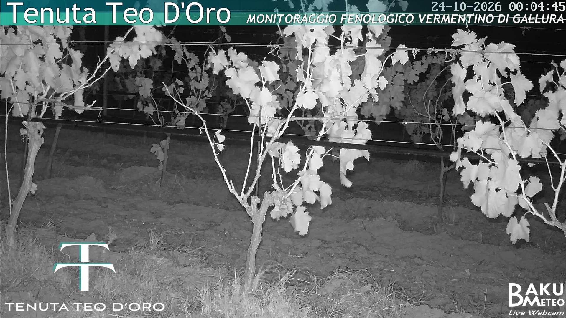 time-lapse frame, Teodoro webcam