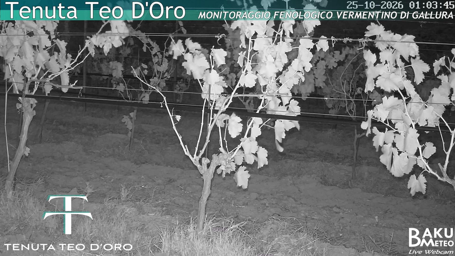 time-lapse frame, Teodoro webcam