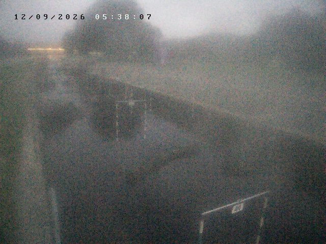 time-lapse frame, Troja - bottom webcam